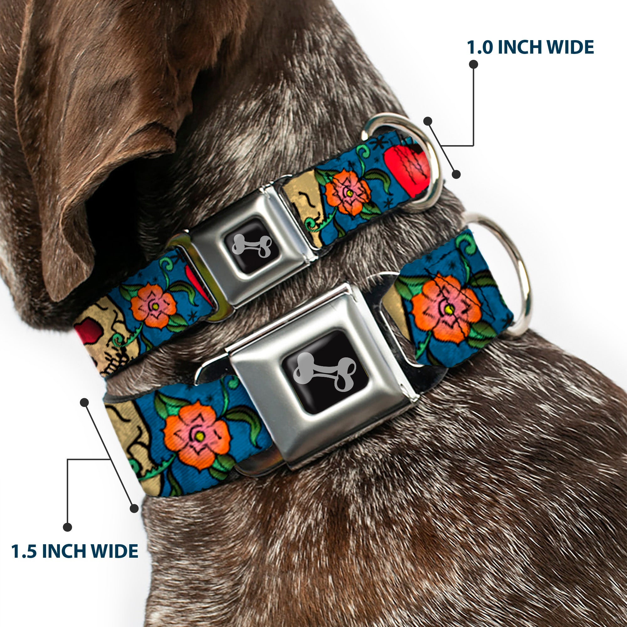 Dog Bone Seatbelt Buckle Collar - Only God Can Judge Me Blue Seatbelt Buckle Collars Buckle-Down