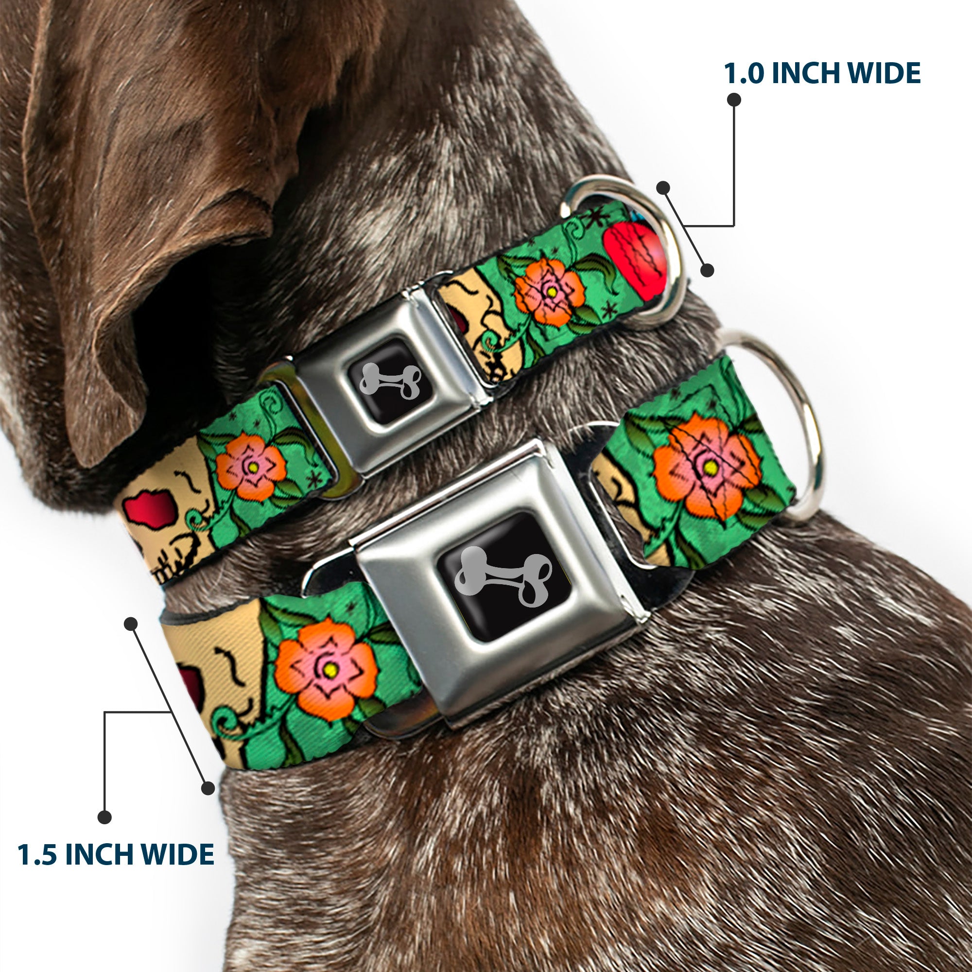 Dog Bone Seatbelt Buckle Collar - Only God Can Judge Me Green Seatbelt Buckle Collars Buckle-Down