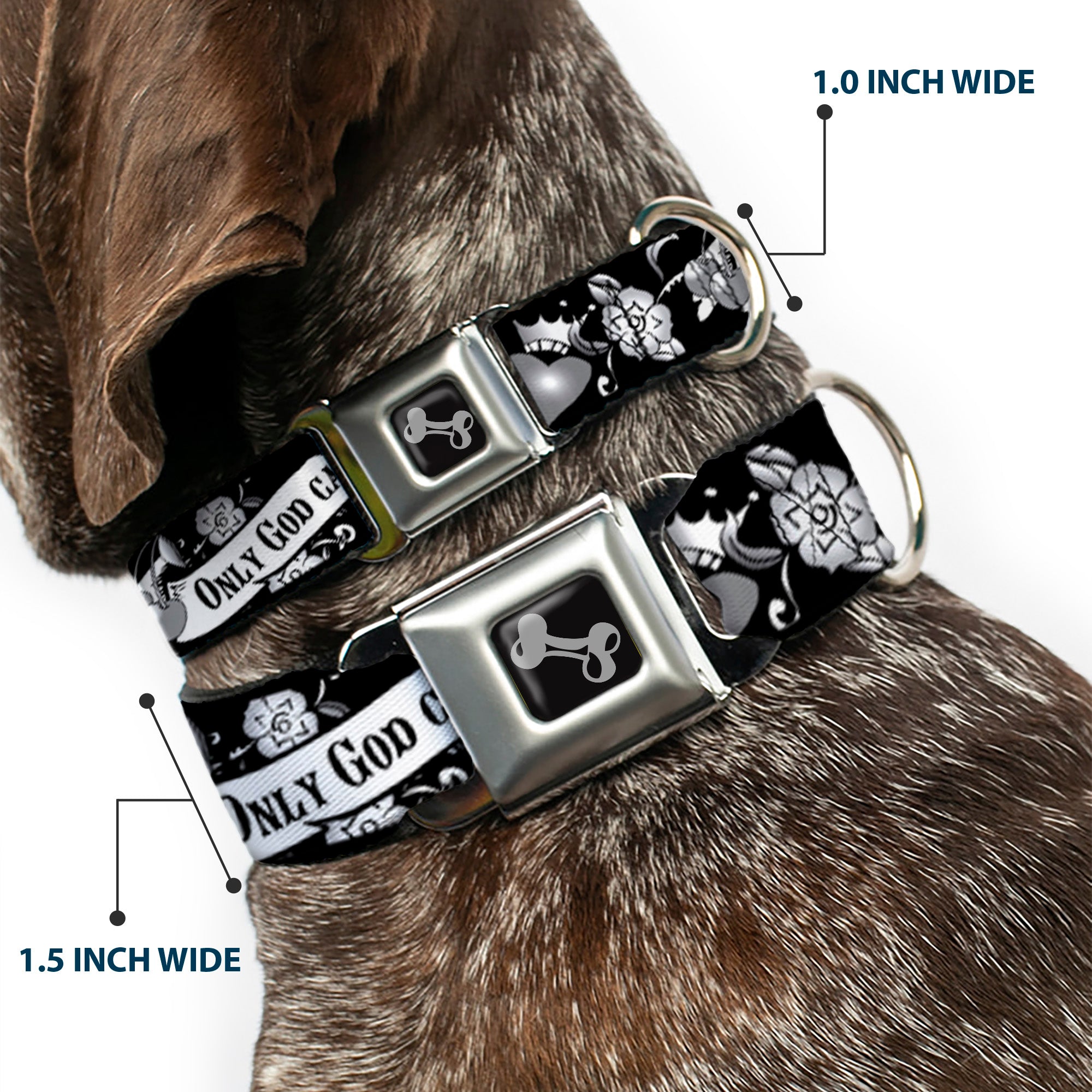 Dog Bone Seatbelt Buckle Collar - Only God Can Judge Me Black/White Seatbelt Buckle Collars Buckle-Down