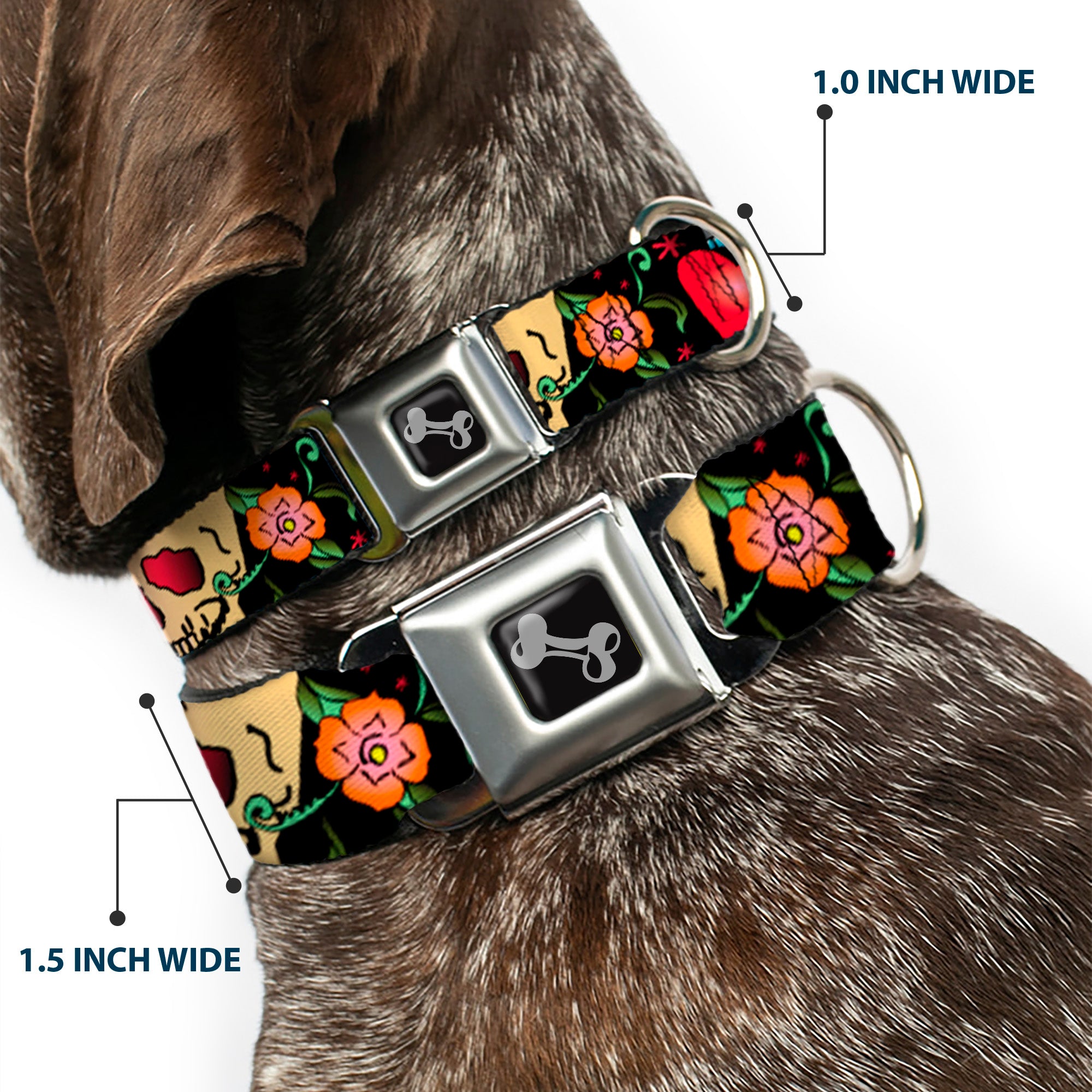 Dog Bone Seatbelt Buckle Collar - Only God Can Judge Me Black Seatbelt Buckle Collars Buckle-Down