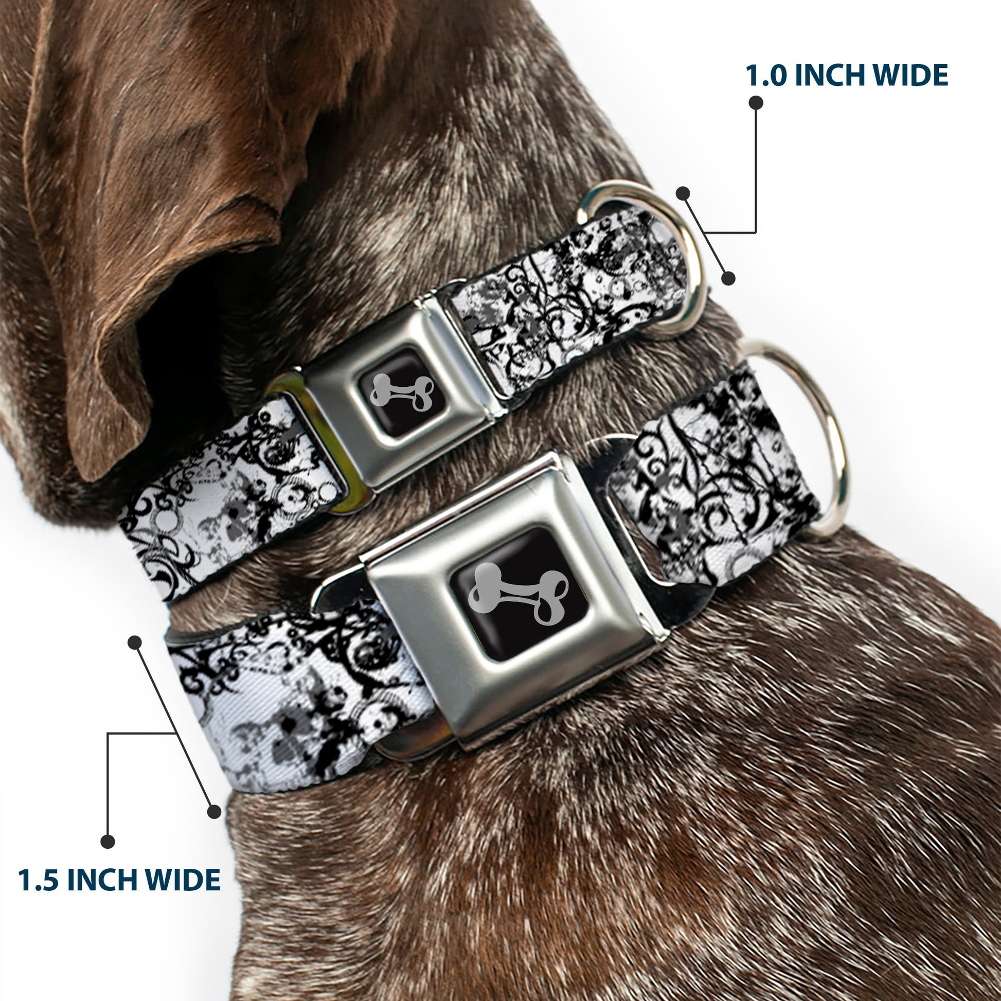 Dog Bone Seatbelt Buckle Collar - Orthodox Chaos Seatbelt Buckle Collars Buckle-Down