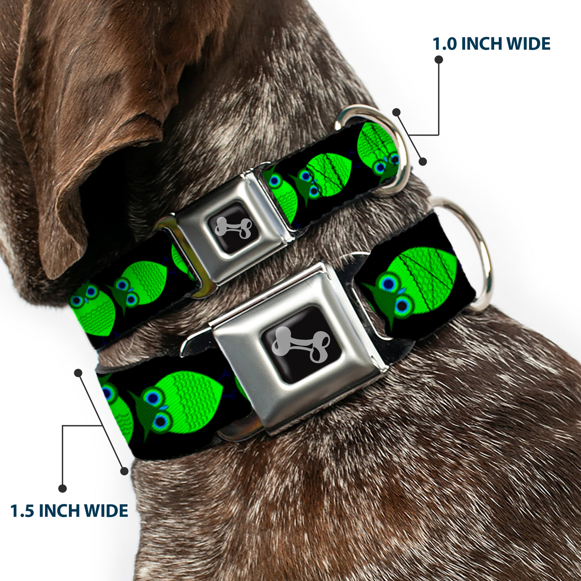 Dog Bone Seatbelt Buckle Collar - Owls Spin Black/Green Seatbelt Buckle Collars Buckle-Down