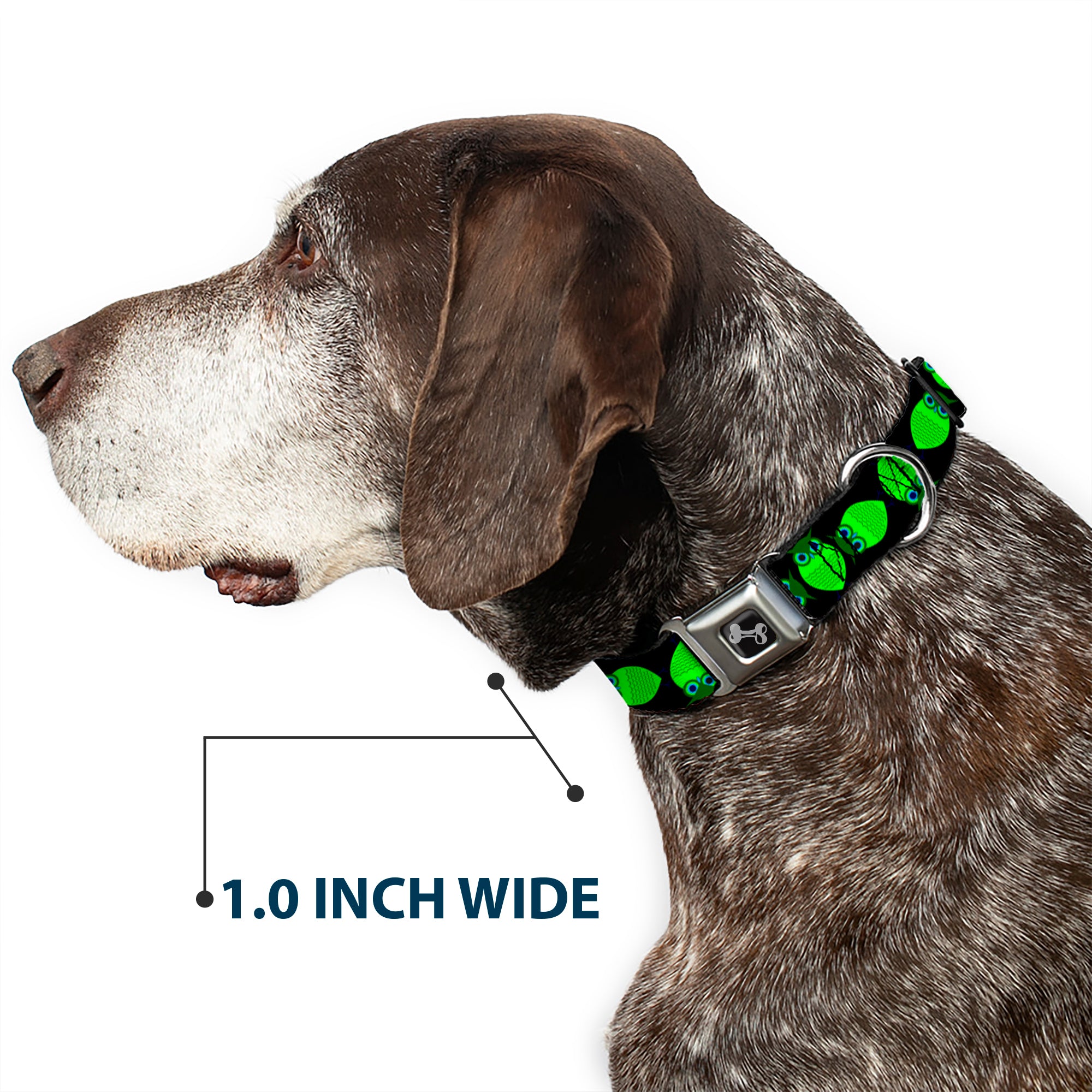 Dog Bone Seatbelt Buckle Collar - Owls Spin Black/Green Seatbelt Buckle Collars Buckle-Down