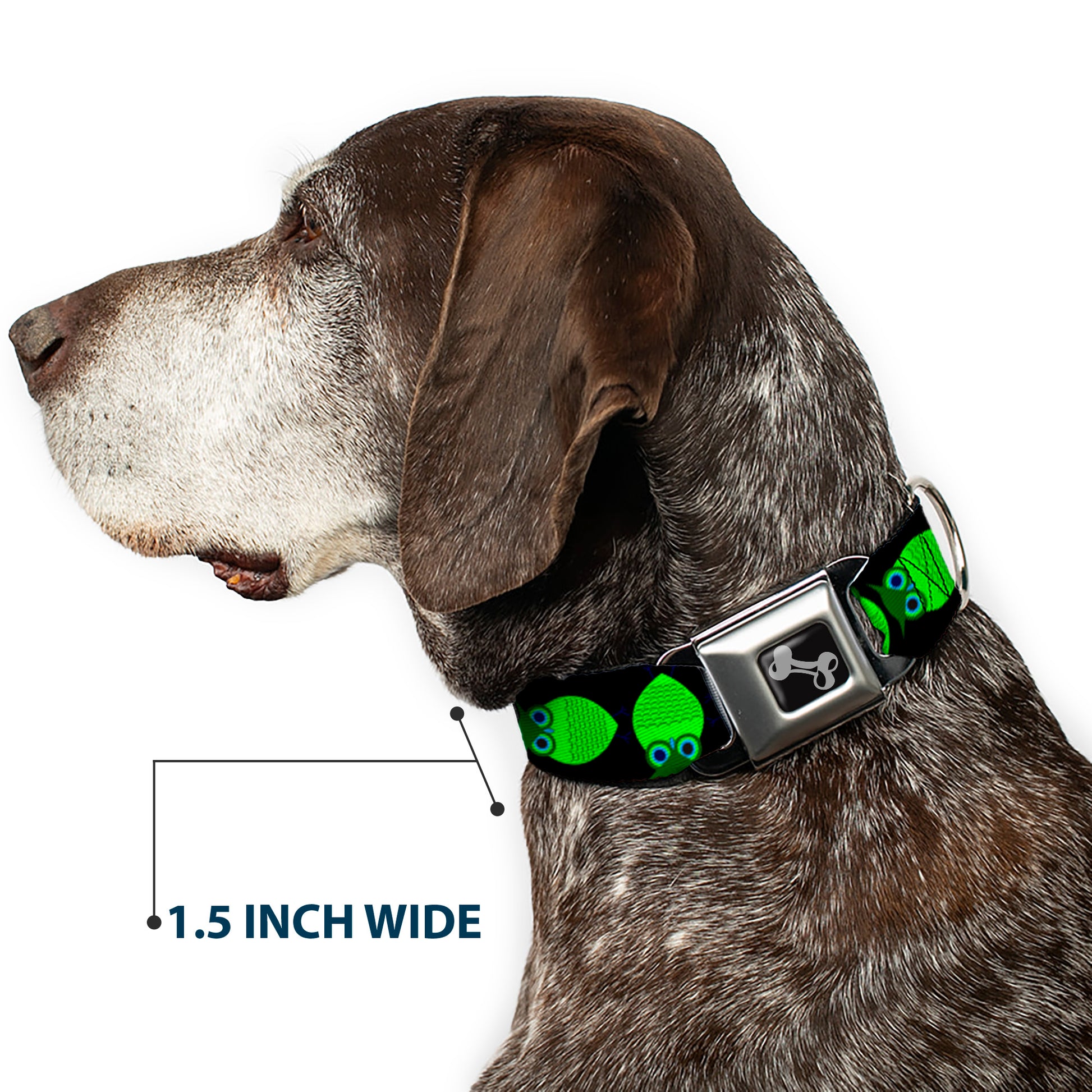 Dog Bone Seatbelt Buckle Collar - Owls Spin Black/Green Seatbelt Buckle Collars Buckle-Down
