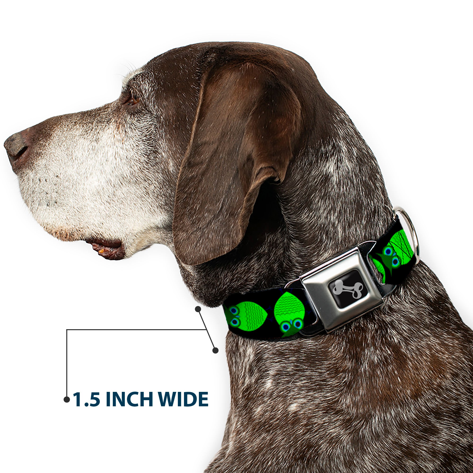 Dog Bone Seatbelt Buckle Collar - Owls Spin Black/Green Seatbelt Buckle Collars Buckle-Down
