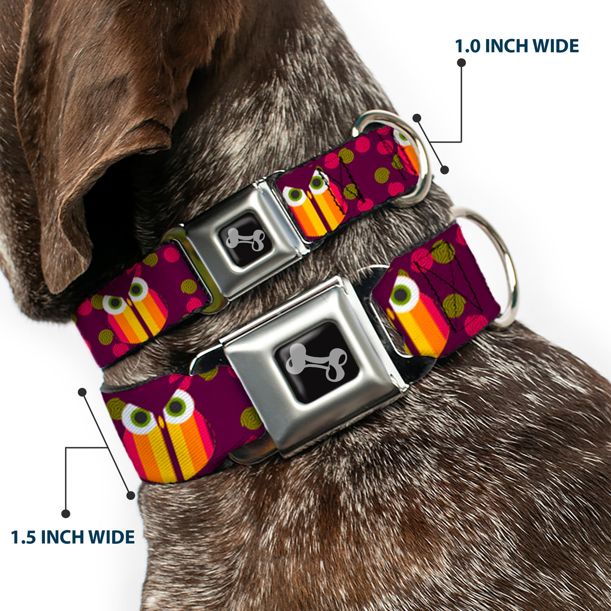 Dog Bone Seatbelt Buckle Collar - Owls Striped w/Swirls Purple Seatbelt Buckle Collars Buckle-Down