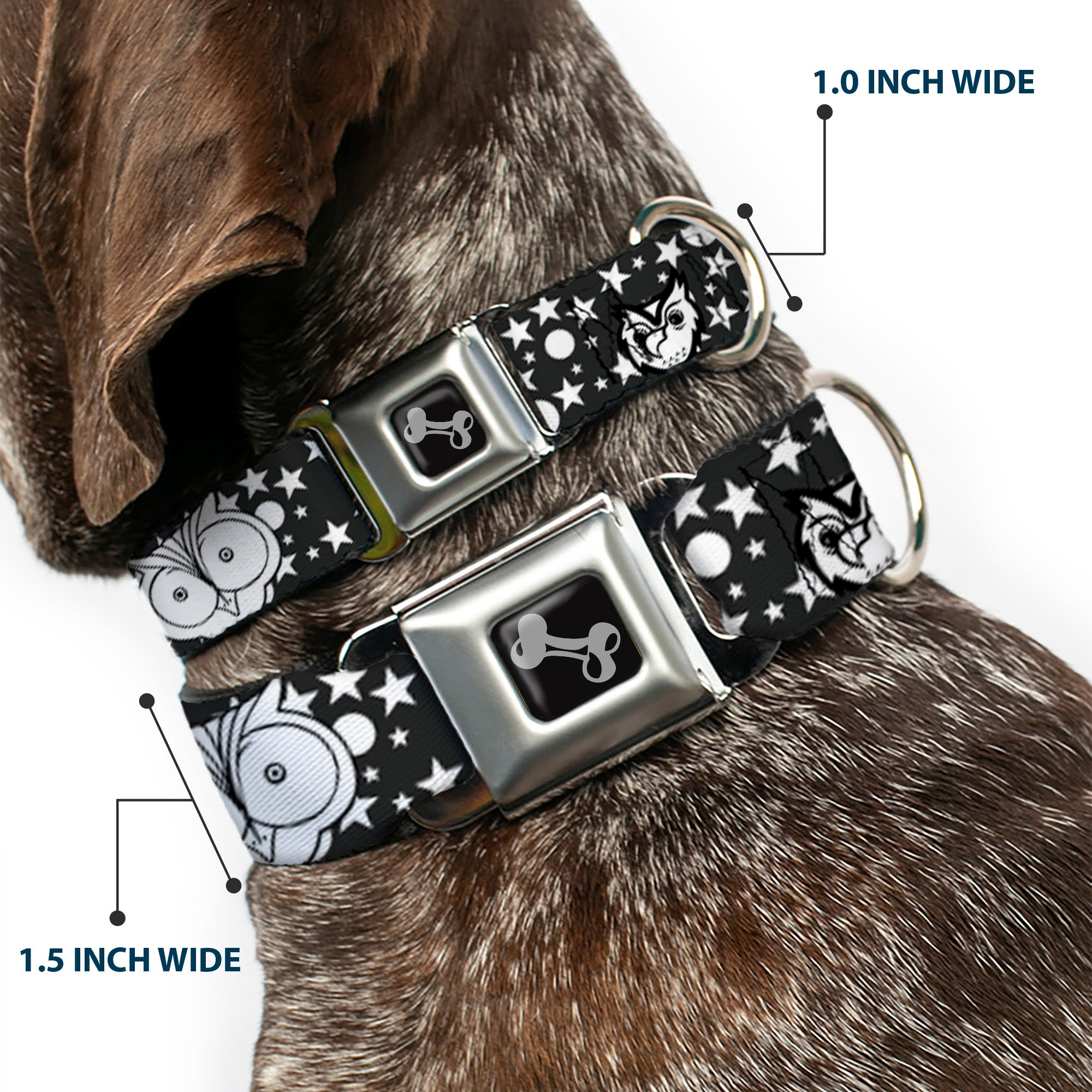 Dog Bone Seatbelt Buckle Collar - Owl Expressions Black/White Seatbelt Buckle Collars Buckle-Down