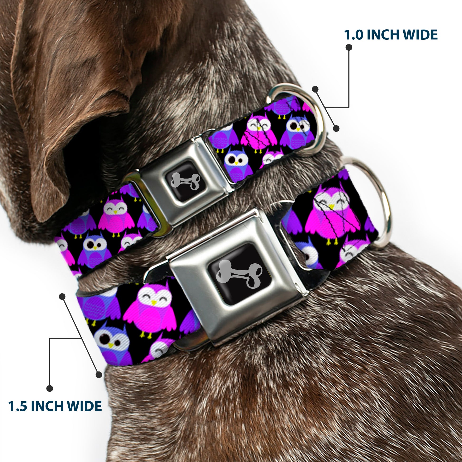 Dog Bone Seatbelt Buckle Collar - Owl Eyes Black/Purples/Pinks Seatbelt Buckle Collars Buckle-Down