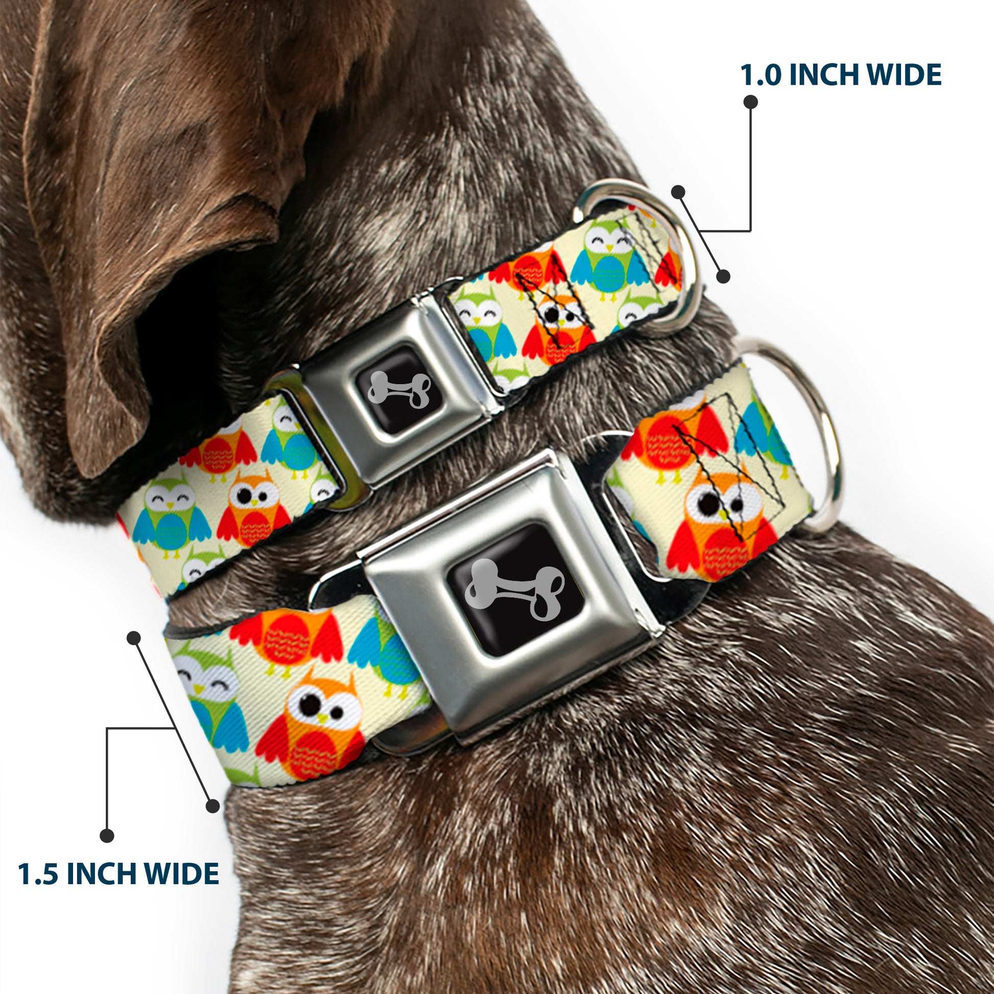 Dog Bone Seatbelt Buckle Collar - Owl Eyes Yellow/Reds/Blues Seatbelt Buckle Collars Buckle-Down