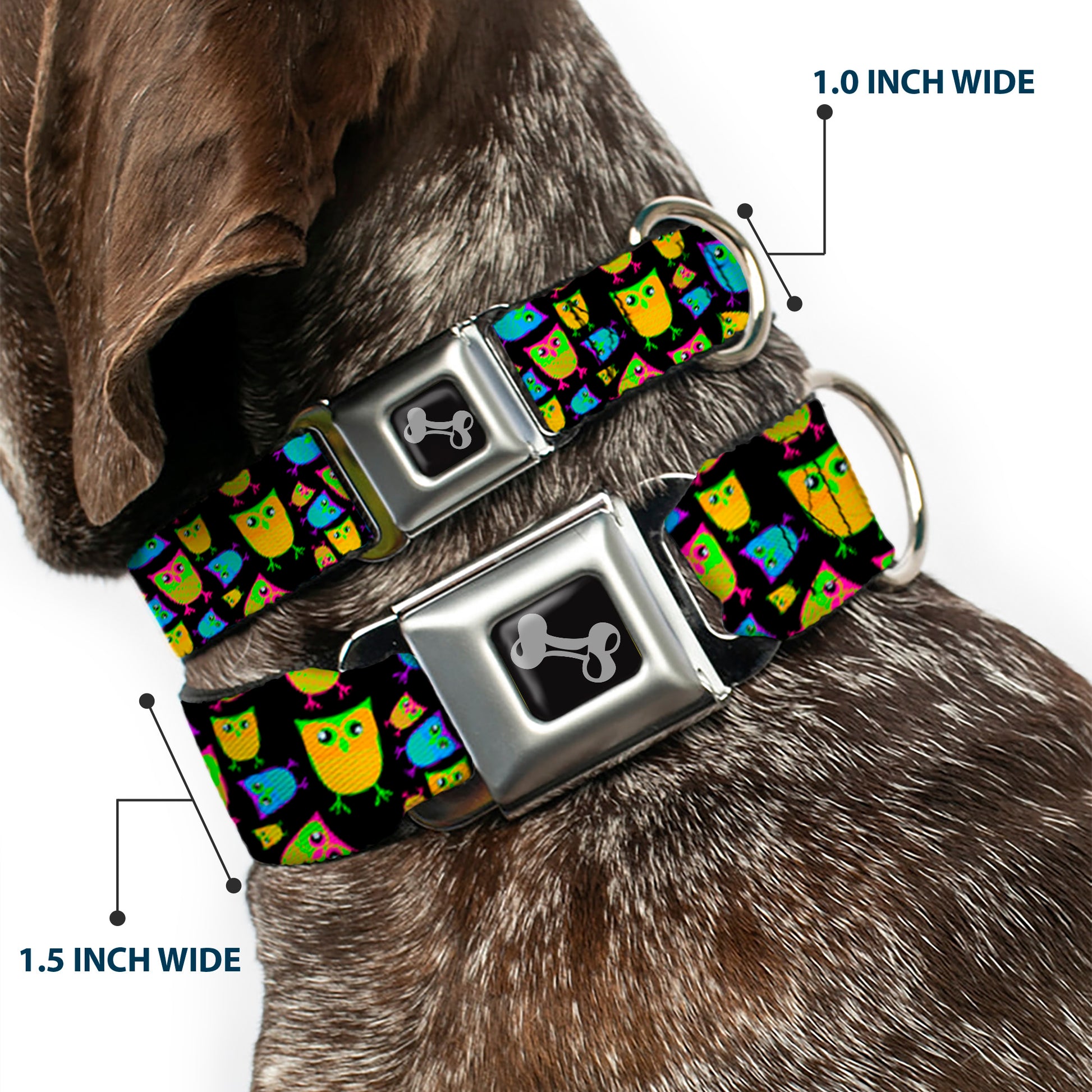 Dog Bone Seatbelt Buckle Collar - Owls Black/Multi Neon Seatbelt Buckle Collars Buckle-Down