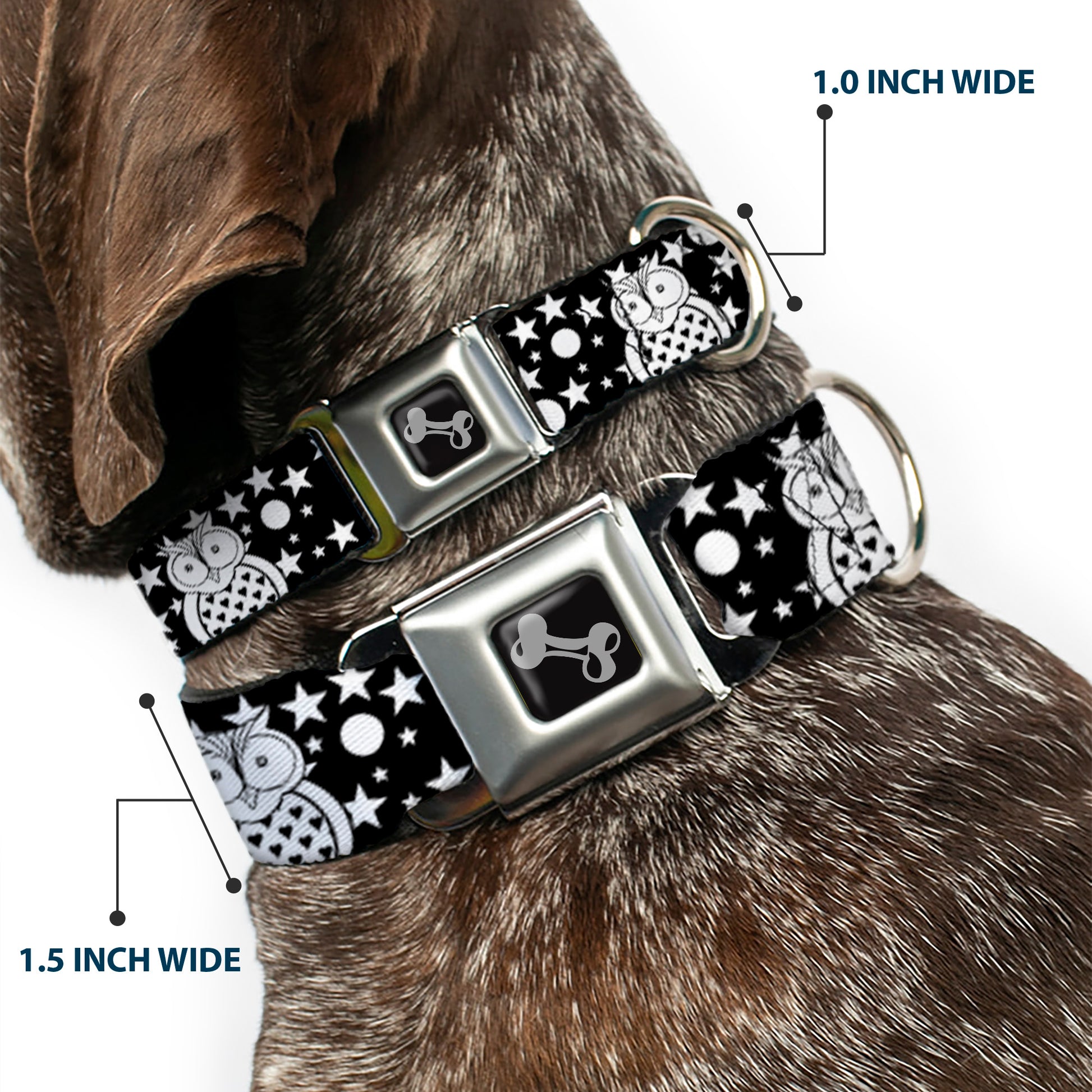 Dog Bone Black/Silver Seatbelt Buckle Collar - Owls Black/White2 Seatbelt Buckle Collars Buckle-Down