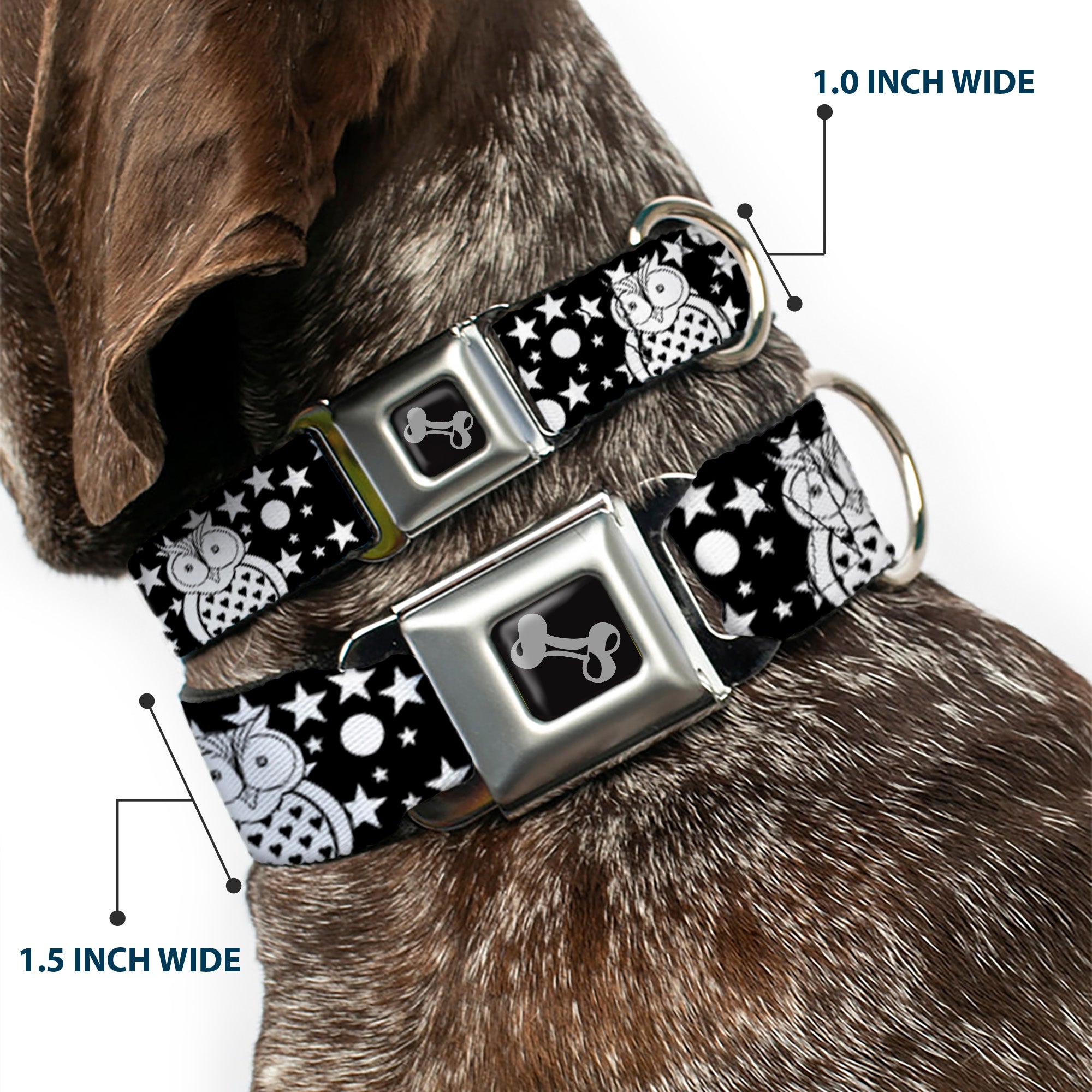 Dog Bone Black/Silver Seatbelt Buckle Collar - Owls Black/White2 Seatbelt Buckle Collars Buckle-Down