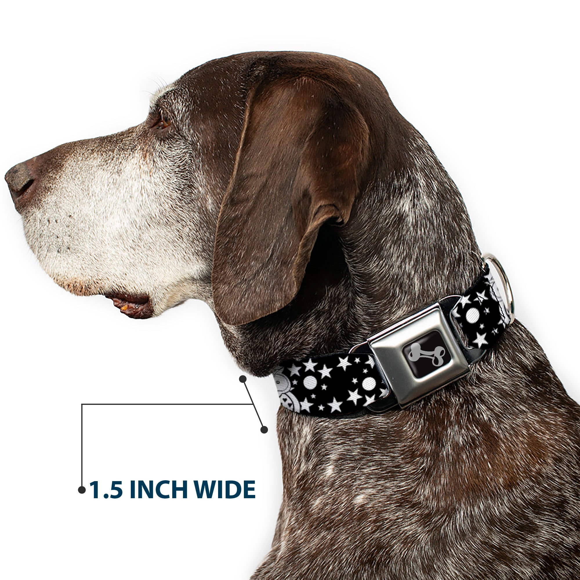 Dog Bone Black/Silver Seatbelt Buckle Collar - Owls Black/White2 Seatbelt Buckle Collars Buckle-Down