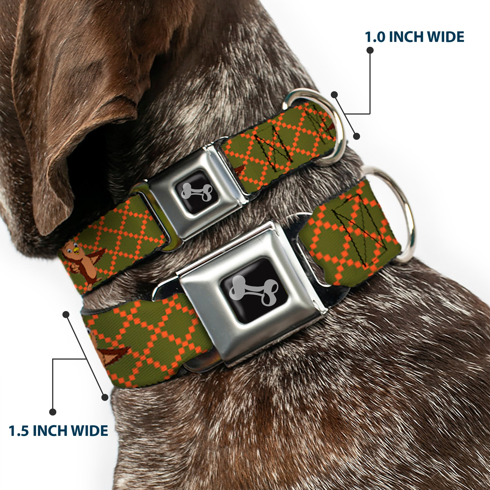 Dog Bone Seatbelt Buckle Collar - Owls Expressions Multi Color Seatbelt Buckle Collars Buckle-Down