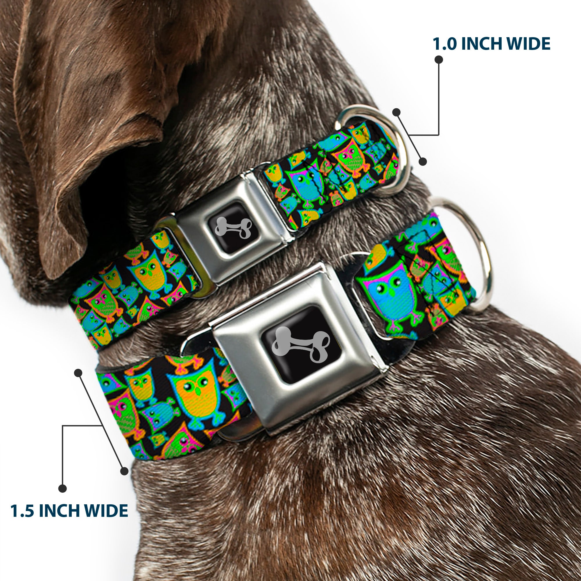 Dog Bone Seatbelt Buckle Collar - Owls w/Outline Black/Multi Neon Seatbelt Buckle Collars Buckle-Down