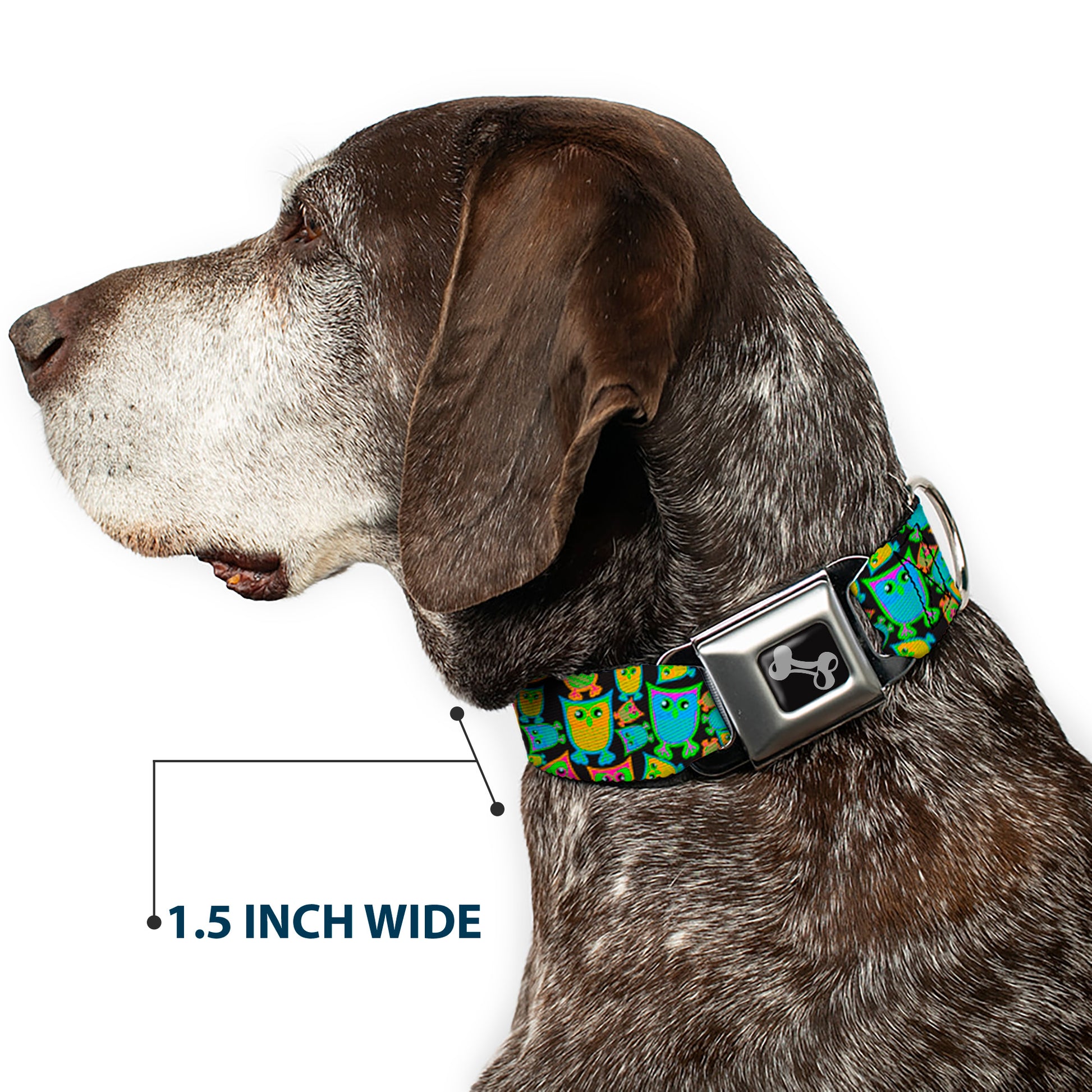Dog Bone Seatbelt Buckle Collar - Owls w/Outline Black/Multi Neon Seatbelt Buckle Collars Buckle-Down