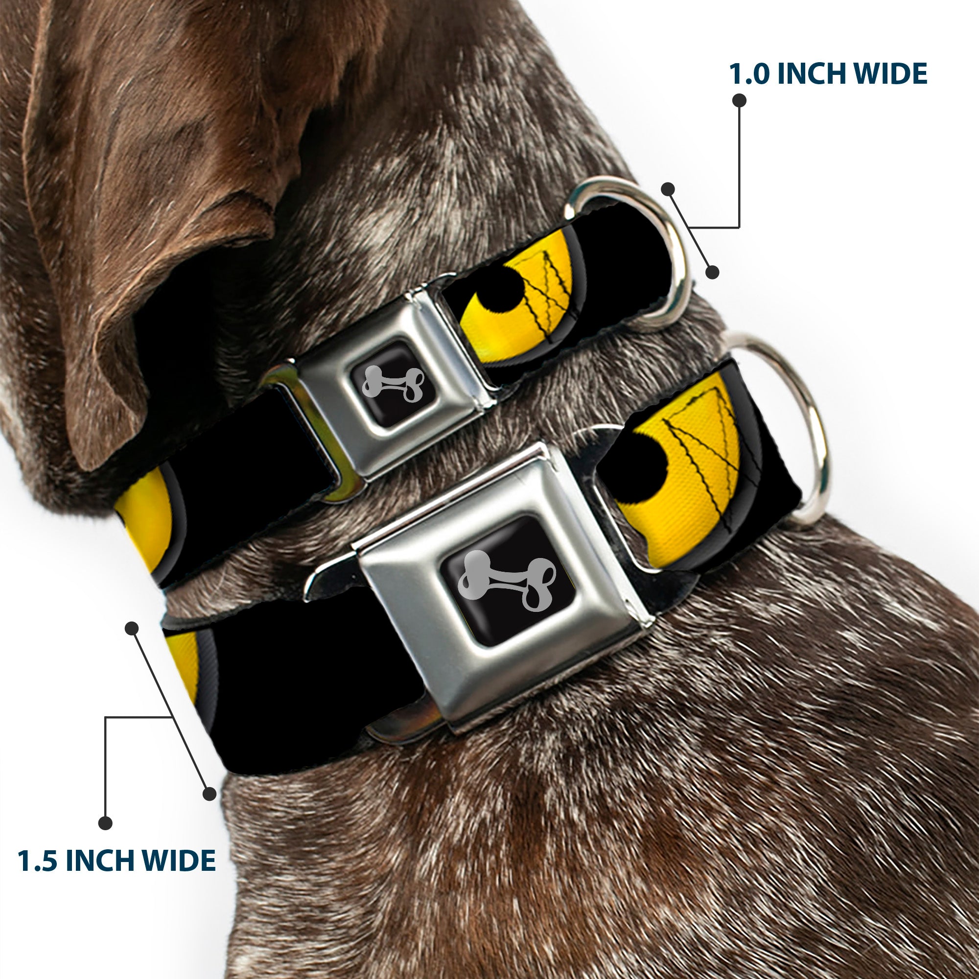 Dog Bone Seatbelt Buckle Collar - Owl Eyes 1 Seatbelt Buckle Collars Buckle-Down