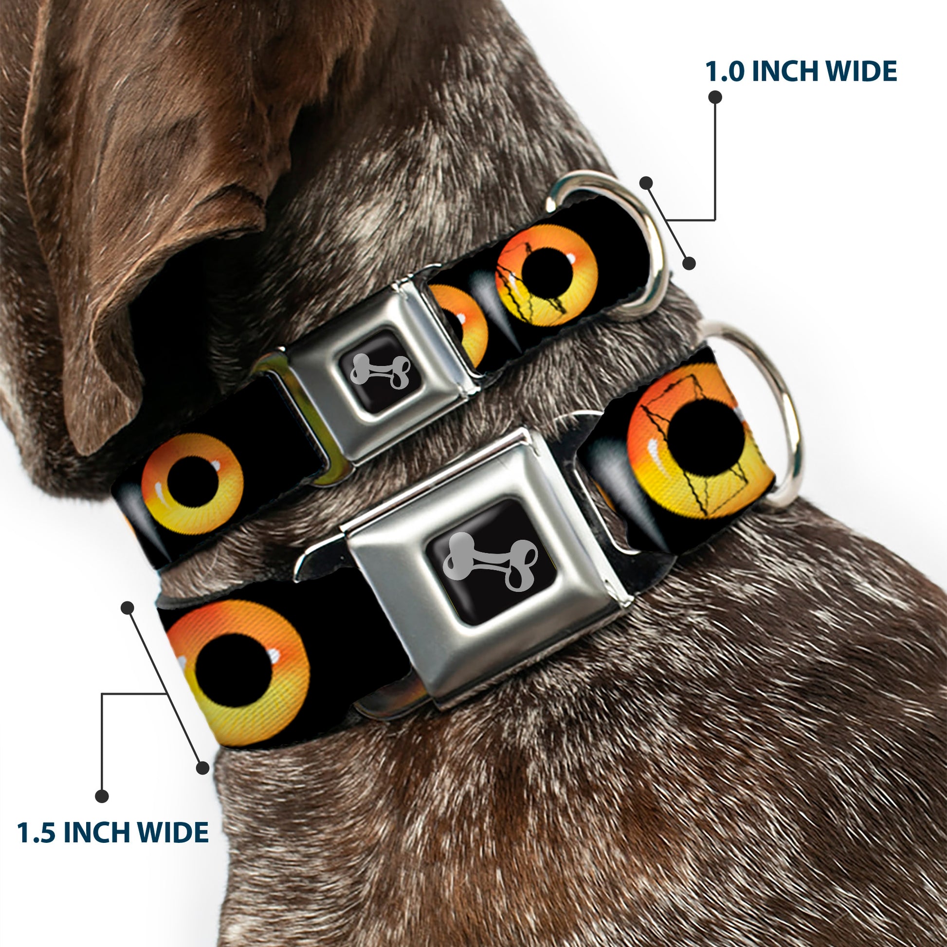 Dog Bone Seatbelt Buckle Collar - Owl Eyes 2 Seatbelt Buckle Collars Buckle-Down