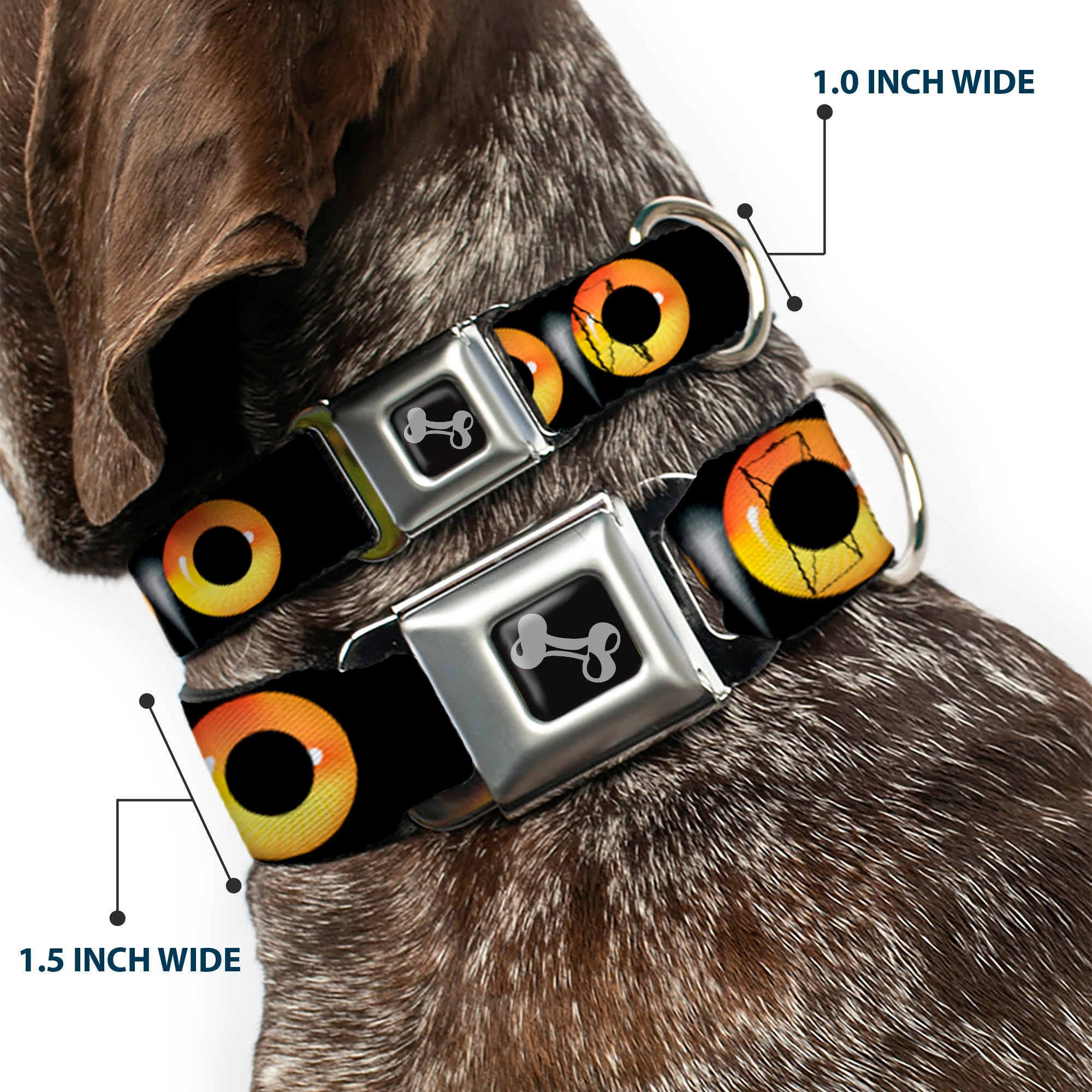 Dog Bone Seatbelt Buckle Collar - Owl Eyes 2 Seatbelt Buckle Collars Buckle-Down