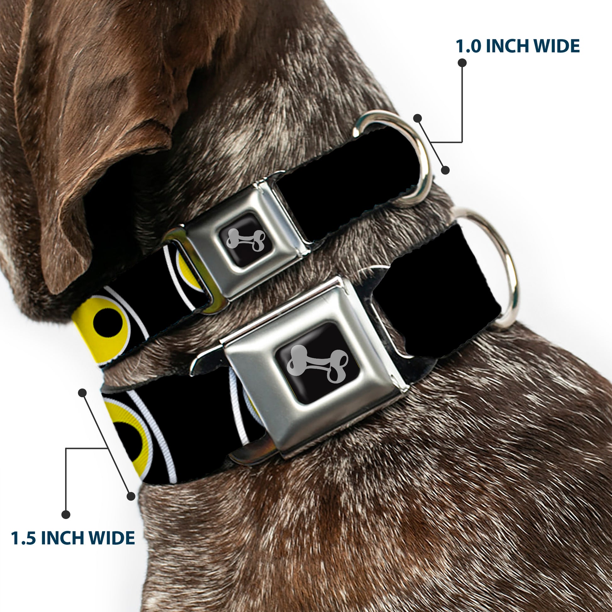 Dog Bone Seatbelt Buckle Collar - Owl Eyes 3 Seatbelt Buckle Collars Buckle-Down