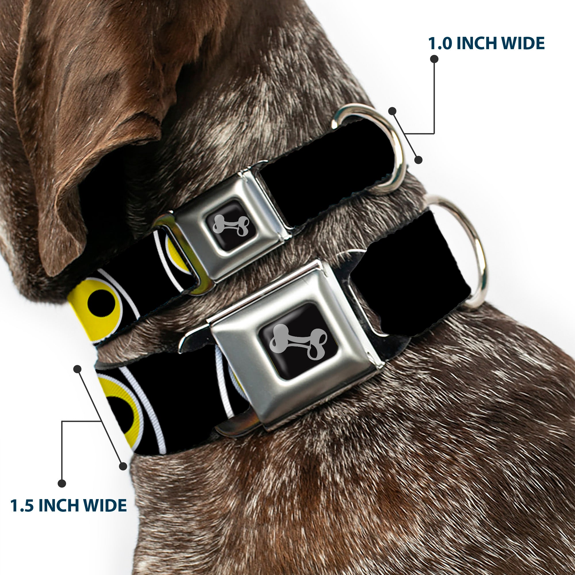 Dog Bone Seatbelt Buckle Collar - Owl Eyes 3 Seatbelt Buckle Collars Buckle-Down