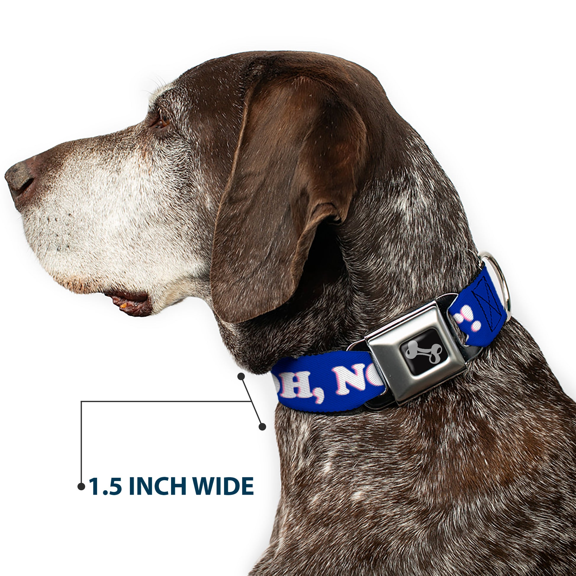 Dog Bone Seatbelt Buckle Collar - OH, NO YOU DIDN'T!!! Navy/Purple/White Seatbelt Buckle Collars Buckle-Down