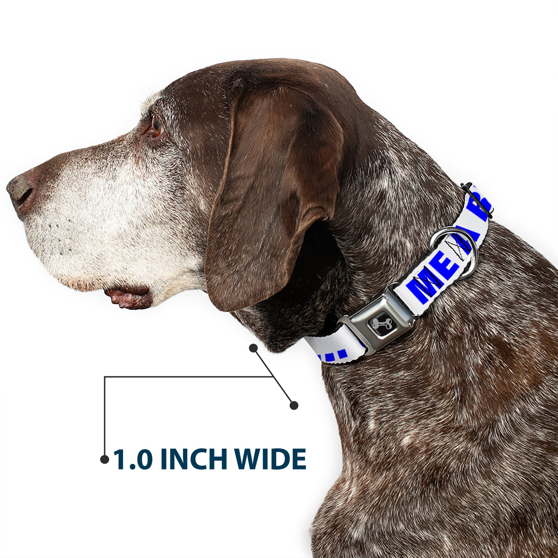 Dog Bone Seatbelt Buckle Collar - OMGâ€¦GIVE ME A BREAK!!! White/Royal Seatbelt Buckle Collars Buckle-Down