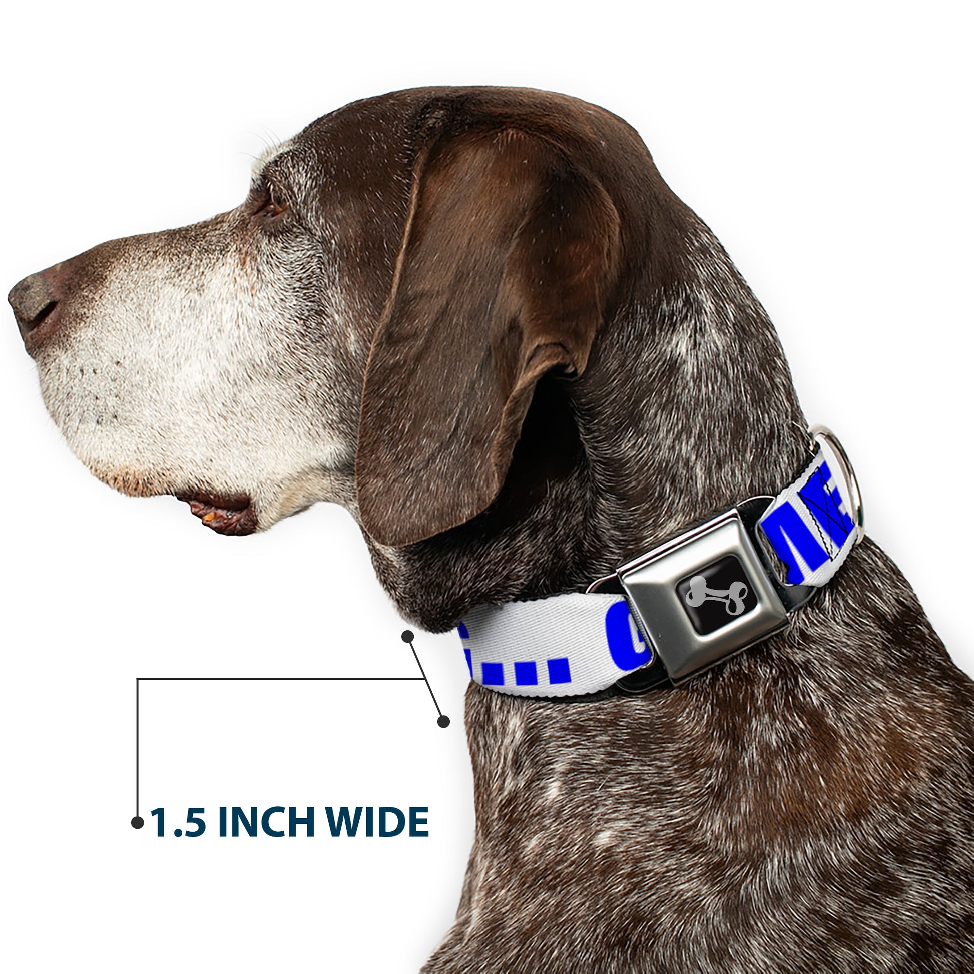 Dog Bone Seatbelt Buckle Collar - OMGâ€¦GIVE ME A BREAK!!! White/Royal Seatbelt Buckle Collars Buckle-Down