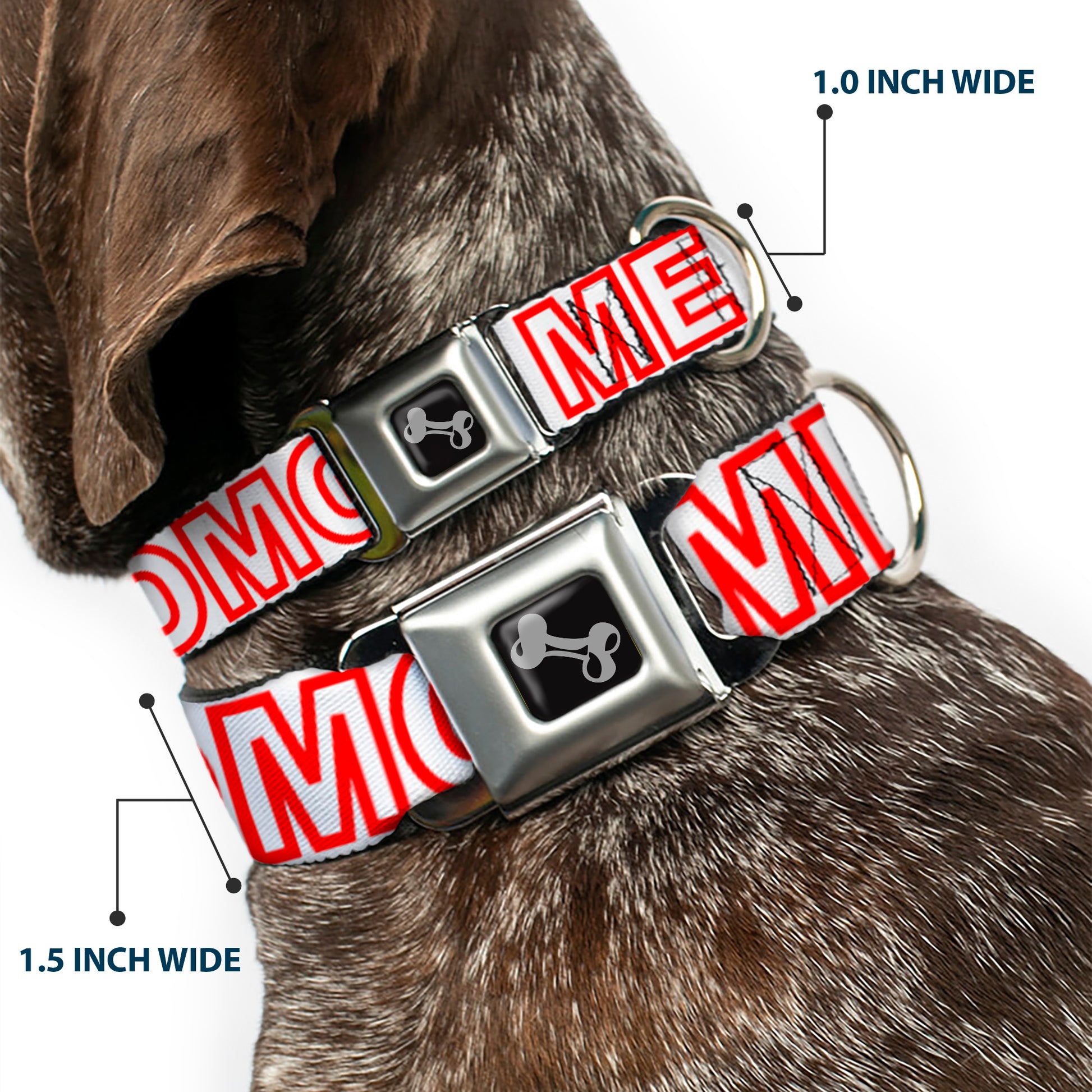 Dog Bone Seatbelt Buckle Collar - OMGâ€¦GIVE ME A BREAK!!! White/Red Seatbelt Buckle Collars Buckle-Down