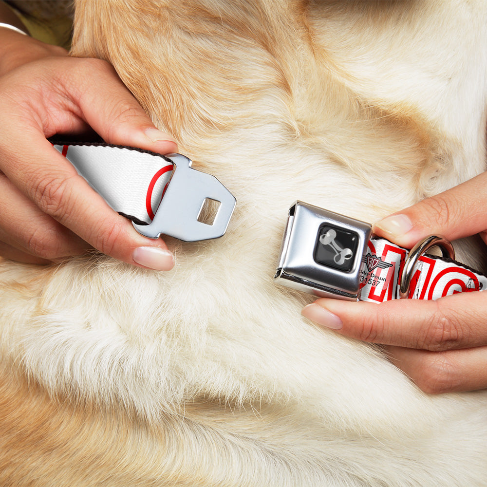 Dog Bone Seatbelt Buckle Collar - OMGâ€¦GIVE ME A BREAK!!! White/Red Seatbelt Buckle Collars Buckle-Down