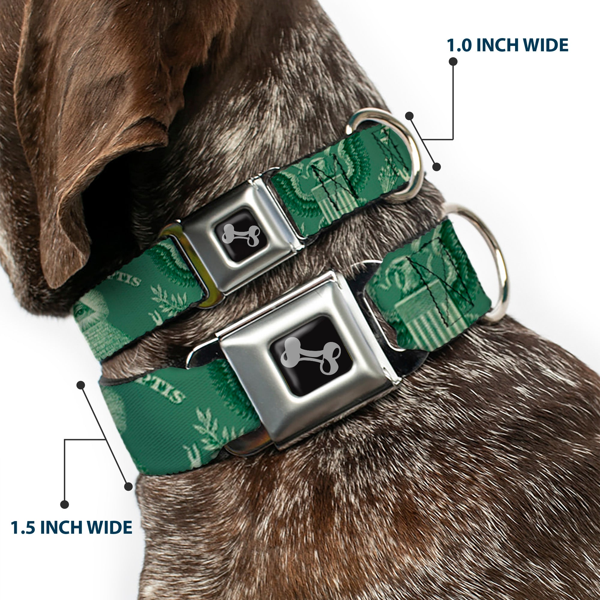 Dog Bone Seatbelt Buckle Collar - One Dollar Bill Pyramid/Bald Eagle Seatbelt Buckle Collars Buckle-Down