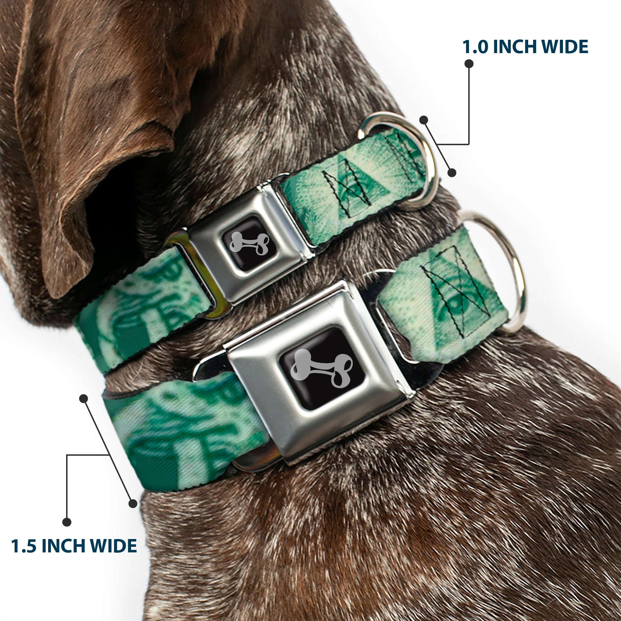 Dog Bone Seatbelt Buckle Collar - One Dollar Bill Eye of Providence/Bald Eagle CLOSE-UP Seatbelt Buckle Collars Buckle-Down