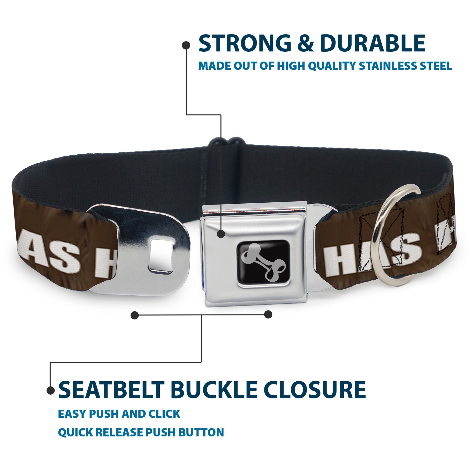 Buckle-Down Seatbelt Buckle Dog Collar - ONE OF US HAS HAIRY LEGS/Fur Tan/White Seatbelt Buckle Collars Buckle-Down