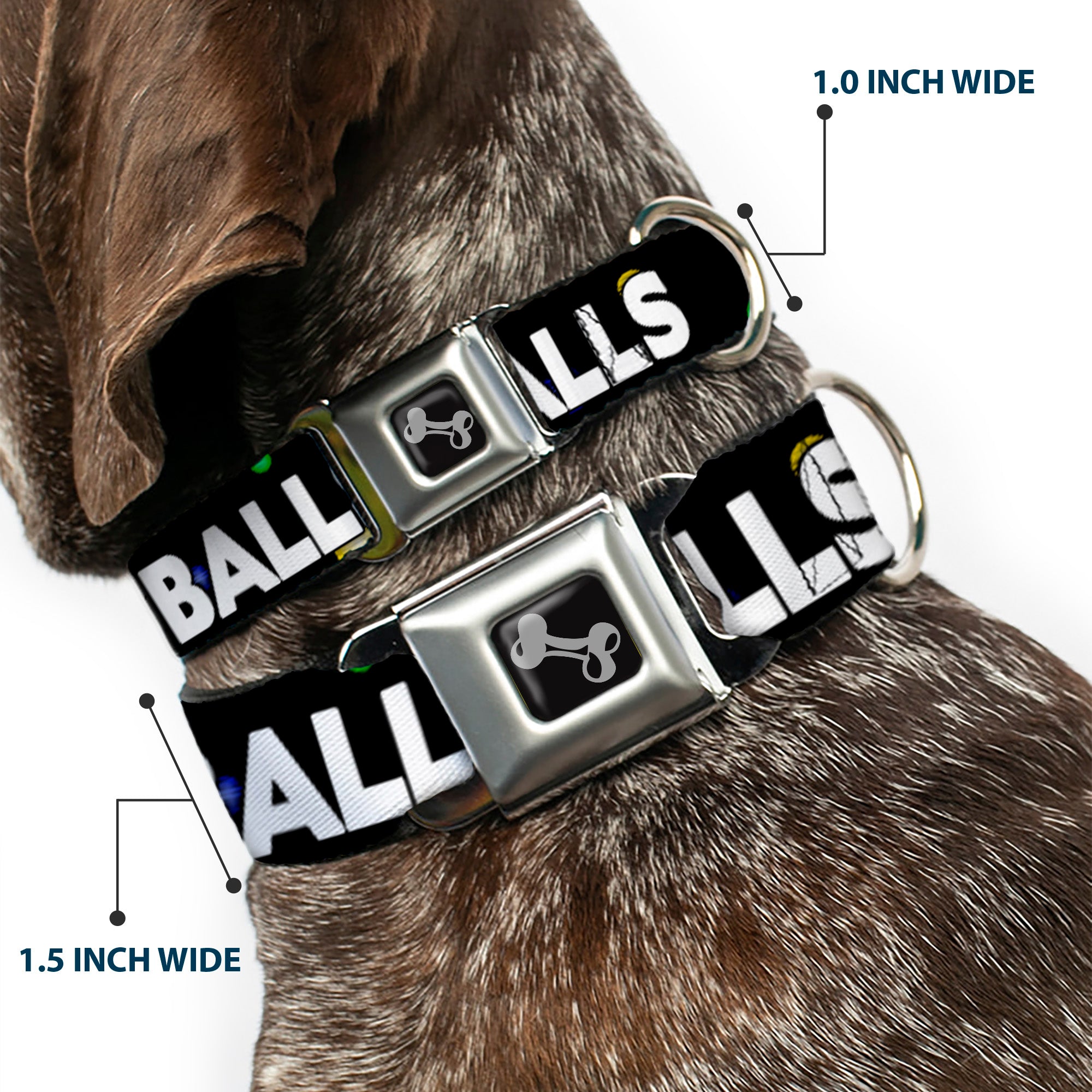 Buckle-Down Seatbelt Buckle Dog Collar - ONE OF US HAS NO BALLS/Balls Black/Multi Color/White Seatbelt Buckle Collars Buckle-Down