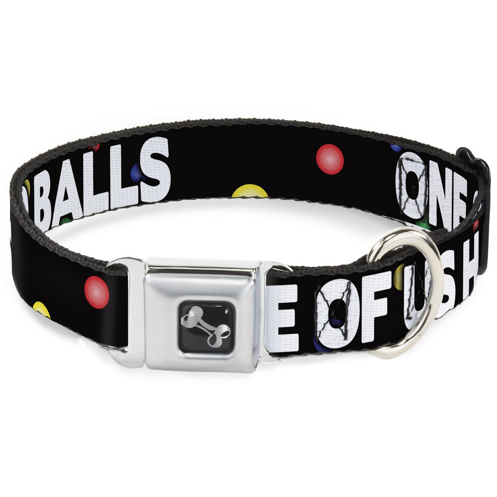 Buckle-Down Seatbelt Buckle Dog Collar - ONE OF US HAS NO BALLS/Balls Black/Multi Color/White Seatbelt Buckle Collars Buckle-Down