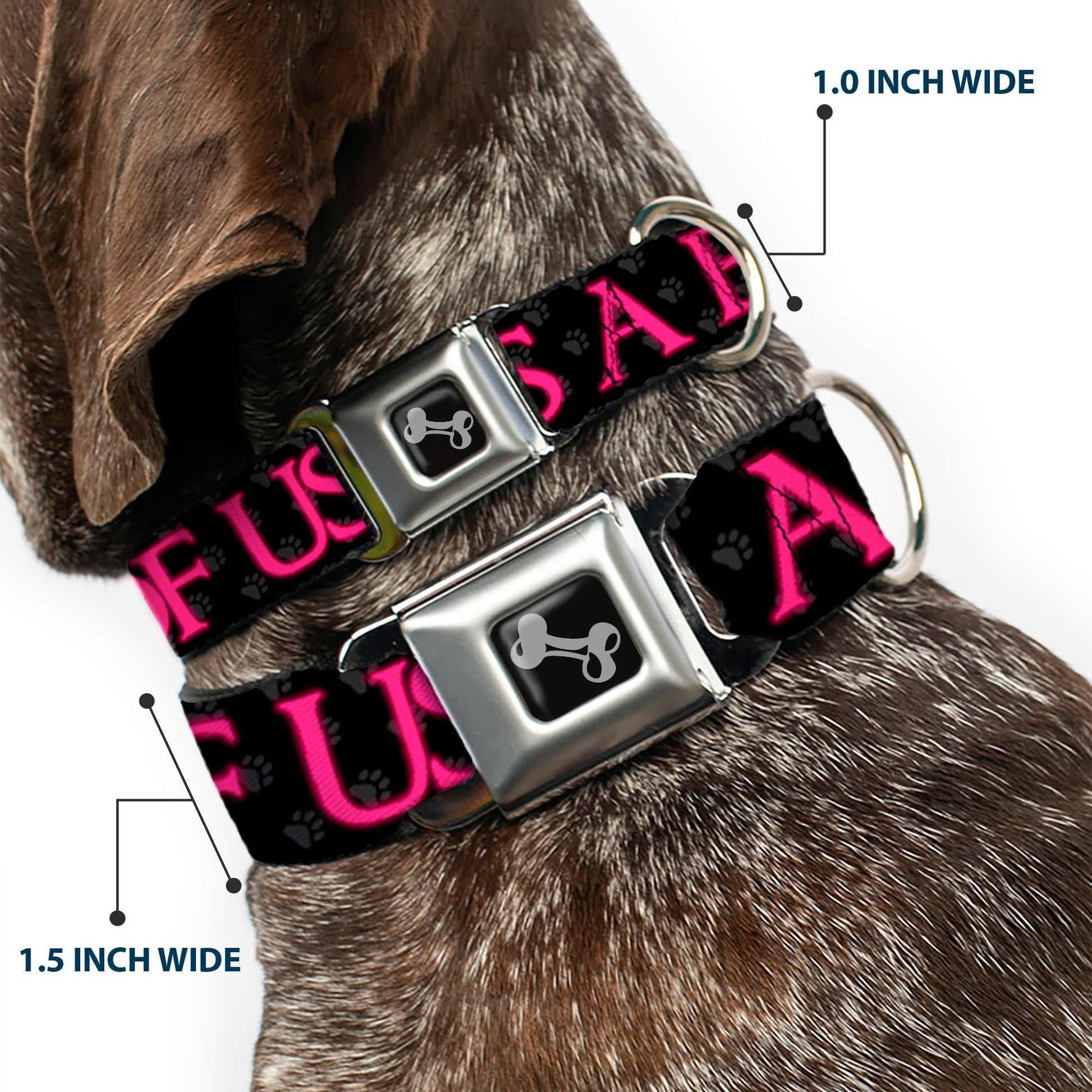 Buckle-Down Seatbelt Buckle Dog Collar - ONE OF US IS A BITCH Crown/Paws Black/Gray/Pink Seatbelt Buckle Collars Buckle-Down