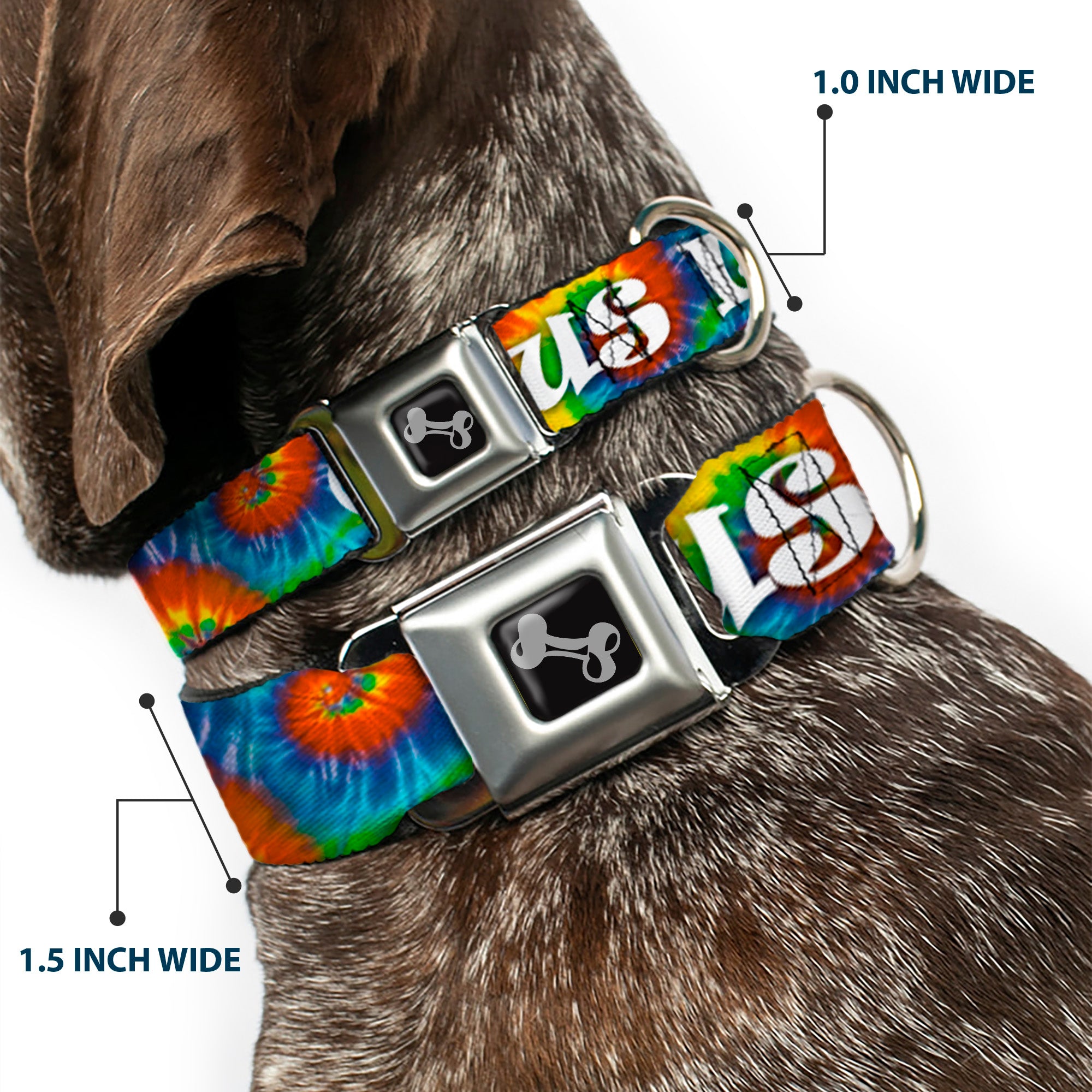 Buckle-Down Seatbelt Buckle Dog Collar - ONE OF US LIKES GRASS/Tie Dye Multi Color/White Seatbelt Buckle Collars Buckle-Down