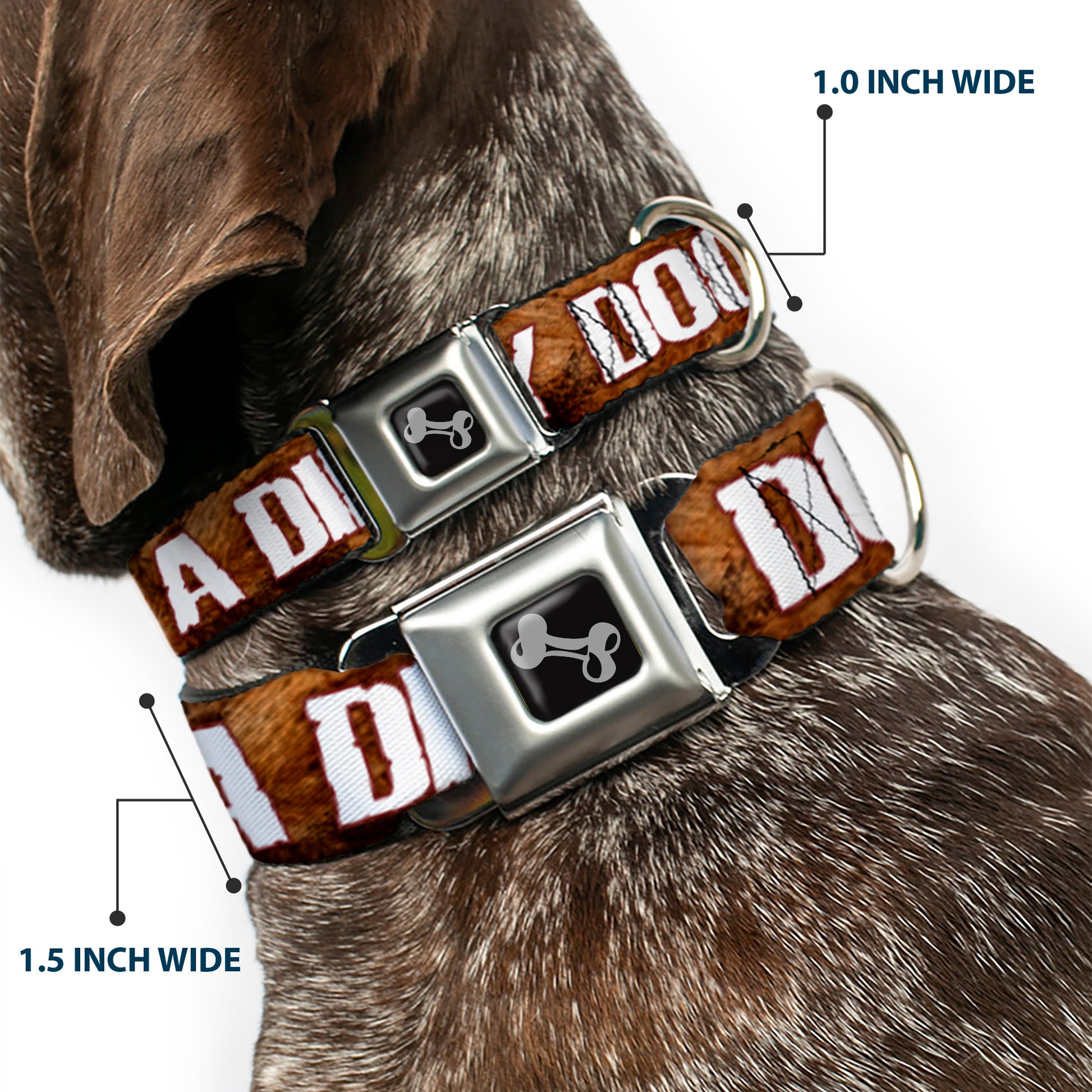Buckle-Down Seatbelt Buckle Dog Collar - ONE OF US IS A DIRTY DOG/Fur Brown/White Seatbelt Buckle Collars Buckle-Down
