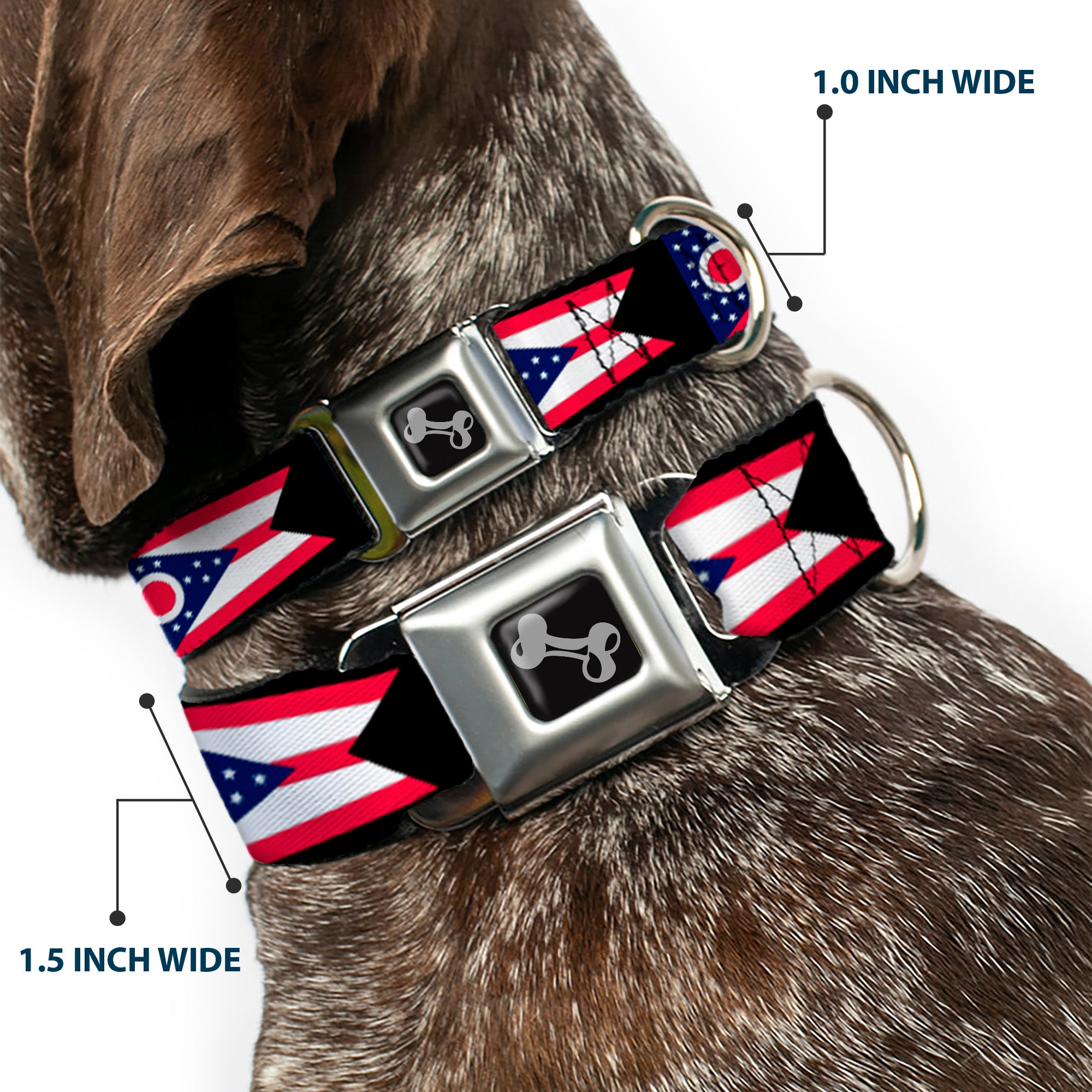 Dog Bone Seatbelt Buckle Collar - Ohio Flag Repeat Black Seatbelt Buckle Collars Buckle-Down