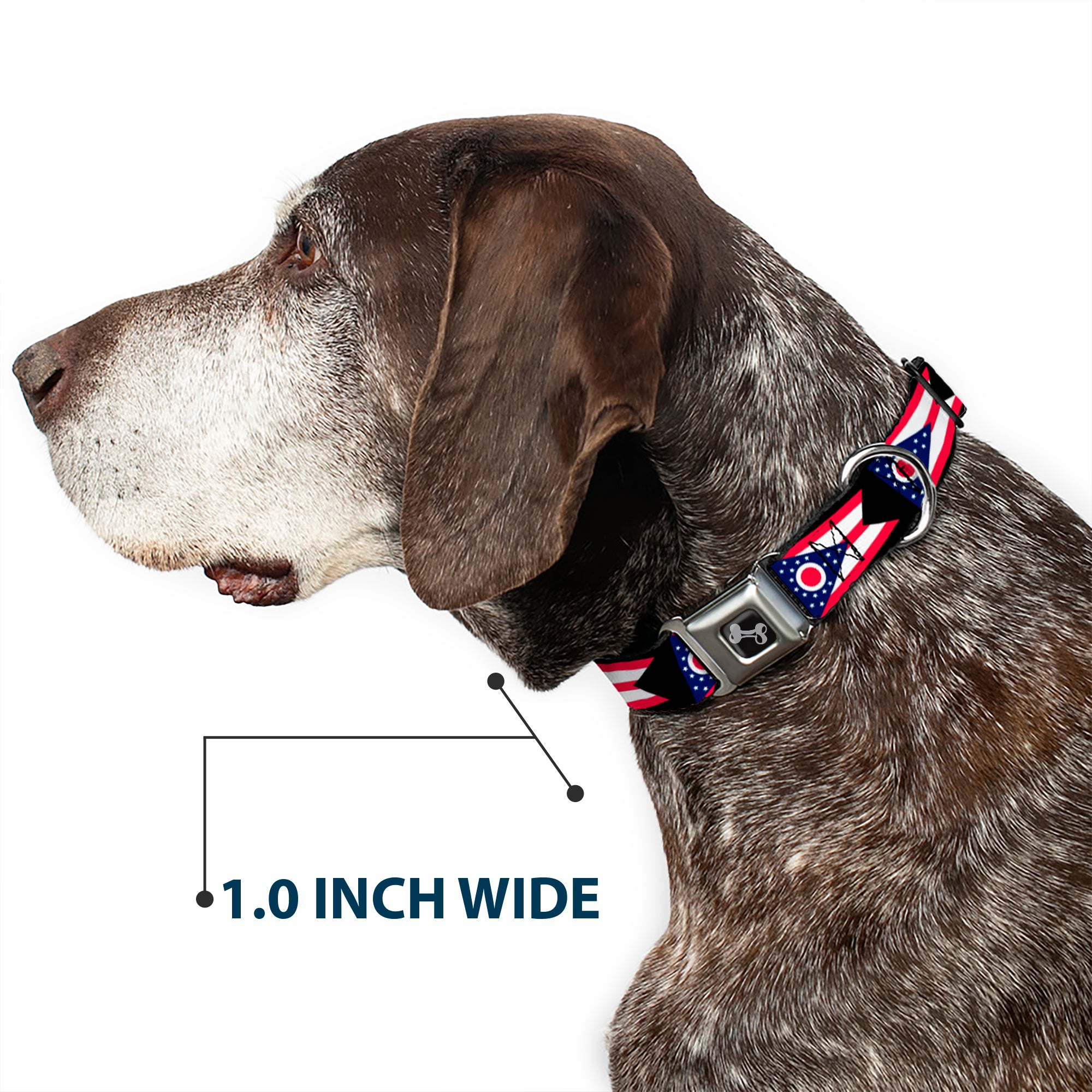 Dog Bone Seatbelt Buckle Collar - Ohio Flag Repeat Black Seatbelt Buckle Collars Buckle-Down