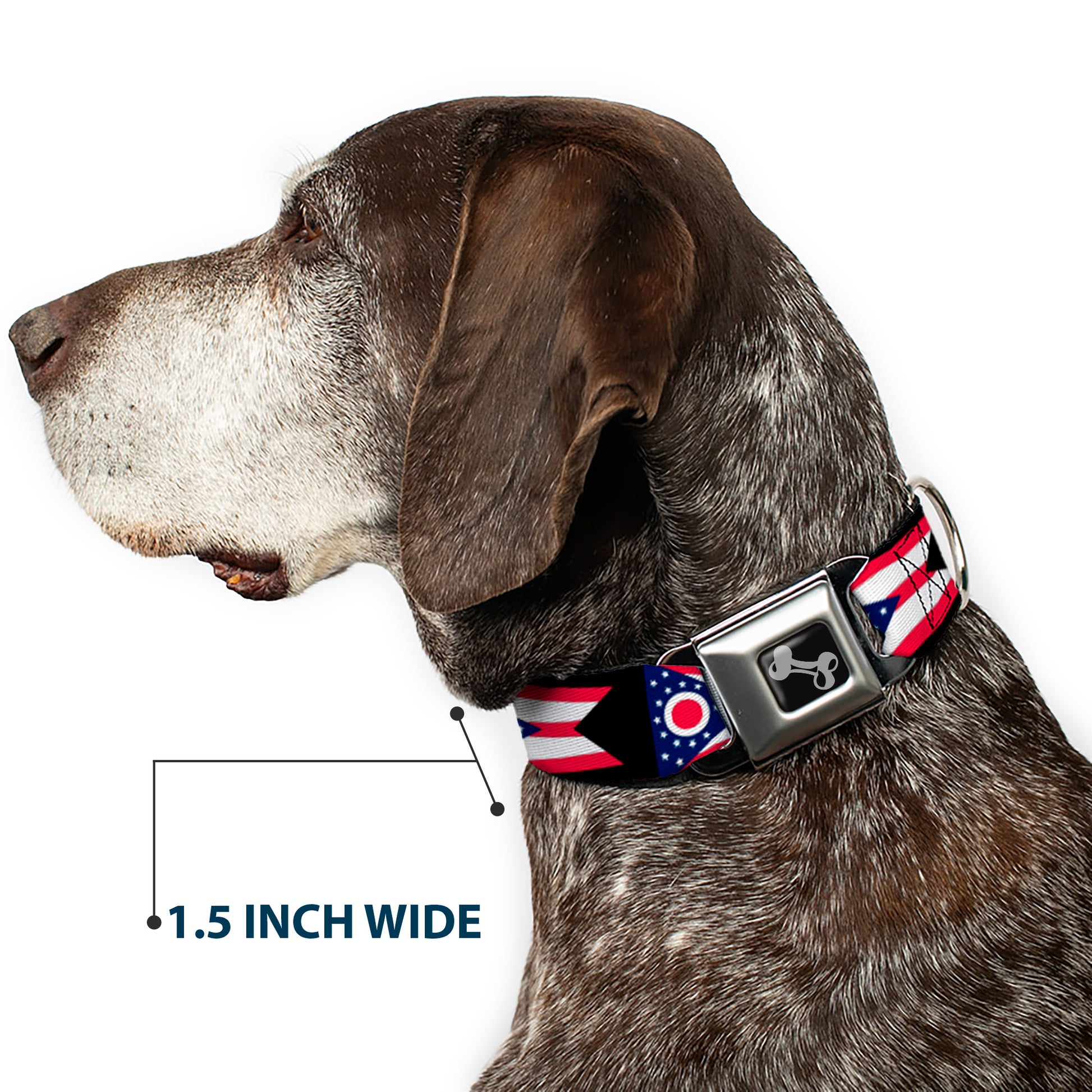 Dog Bone Seatbelt Buckle Collar - Ohio Flag Repeat Black Seatbelt Buckle Collars Buckle-Down