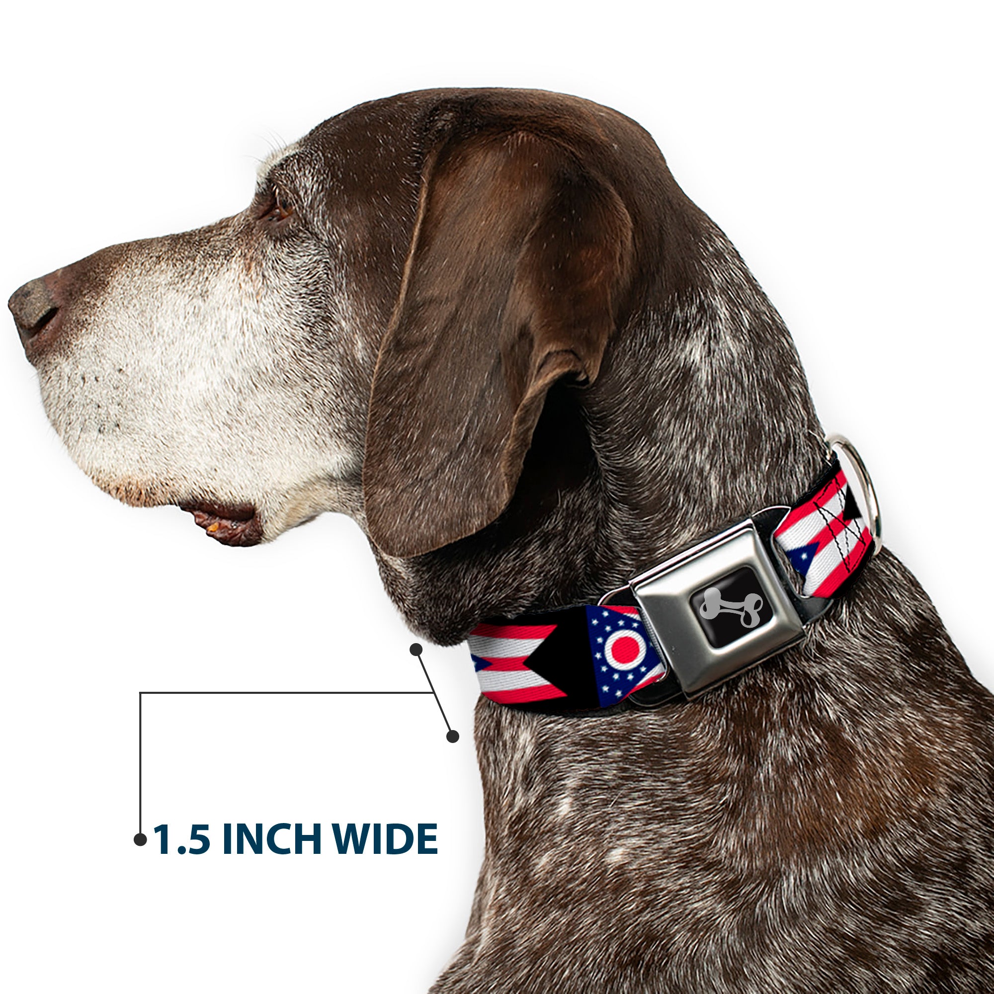 Dog Bone Seatbelt Buckle Collar - Ohio Flag Repeat Black Seatbelt Buckle Collars Buckle-Down