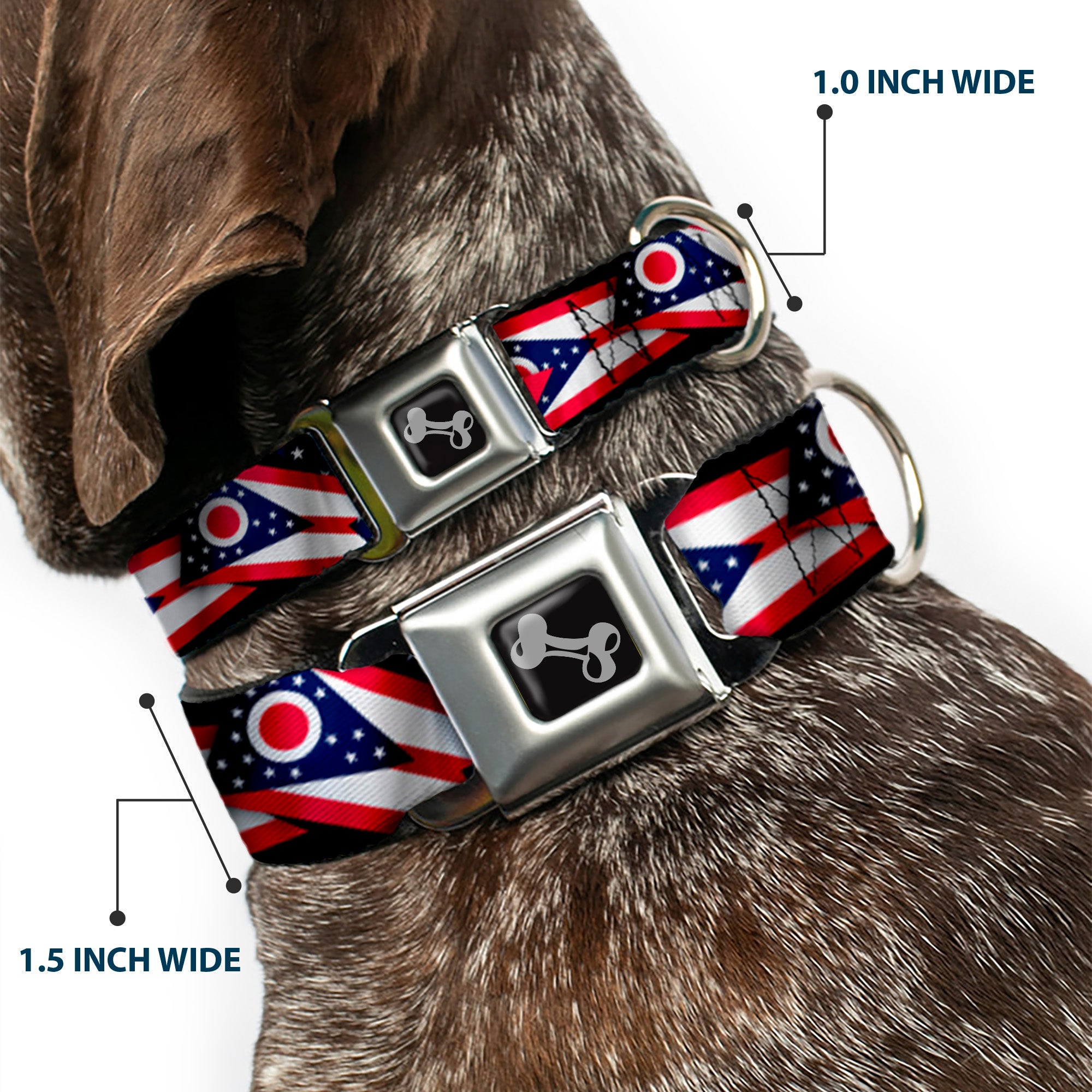 Dog Bone Seatbelt Buckle Collar - Ohio Flags Stacked Seatbelt Buckle Collars Buckle-Down