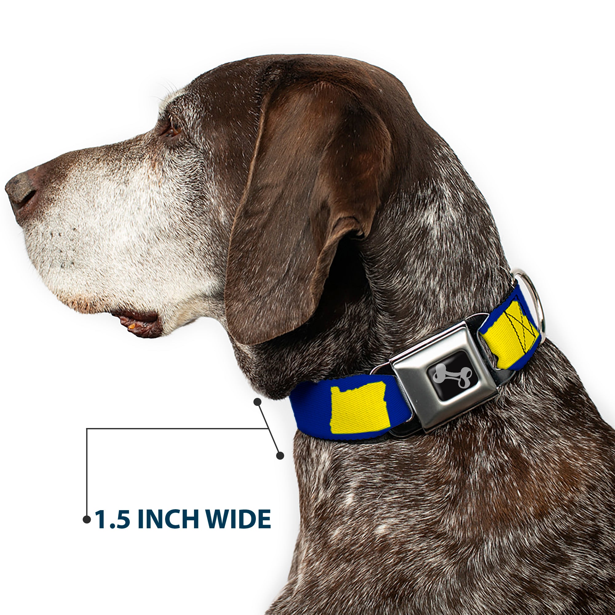 Dog Bone Seatbelt Buckle Collar - Oregon State Silhouette Blue/Yellow Seatbelt Buckle Collars Buckle-Down