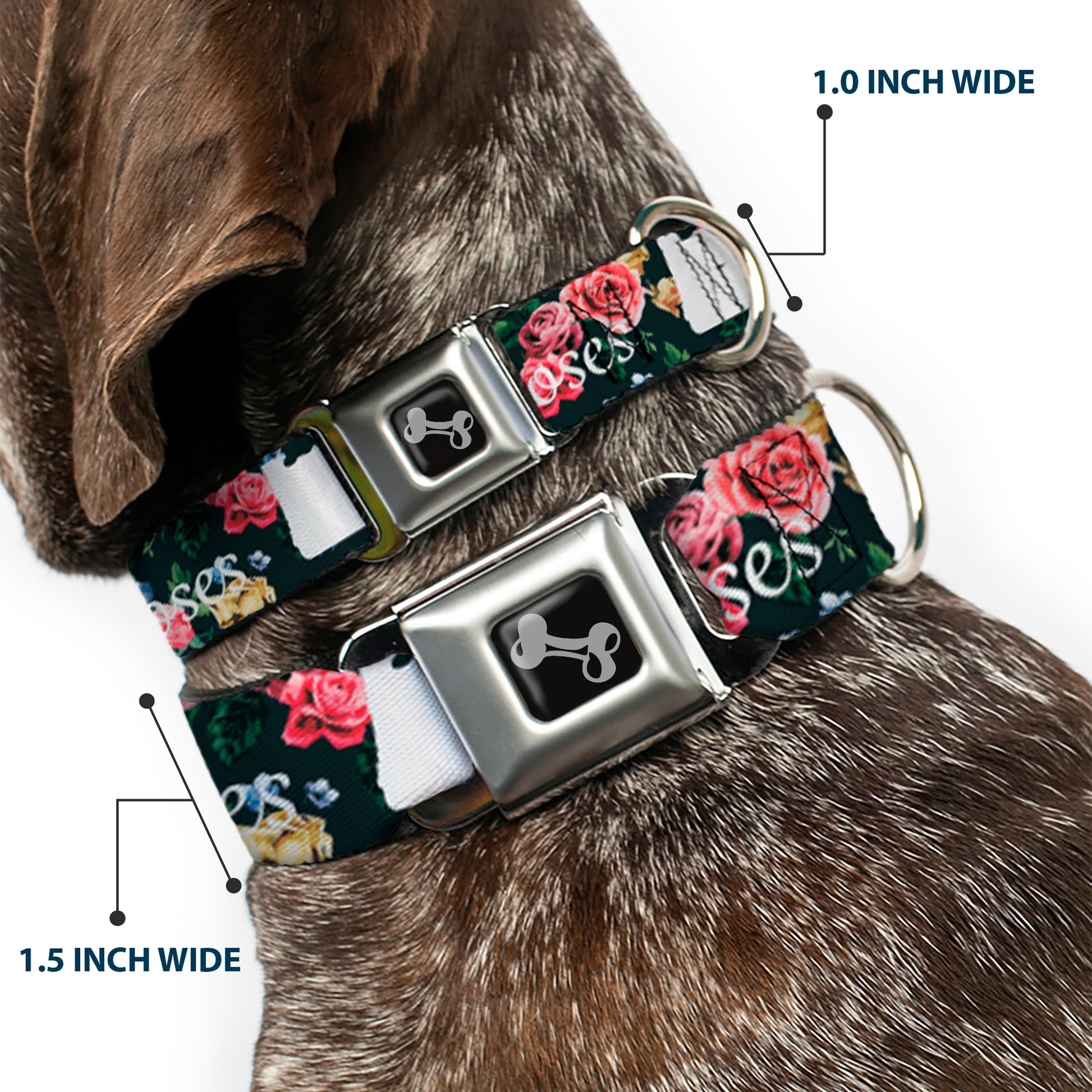 Dog Bone Seatbelt Buckle Collar - Oregon Silhouette/PORTLAND OREGON-CITY OF ROSES Roses/White Seatbelt Buckle Collars Buckle-Down