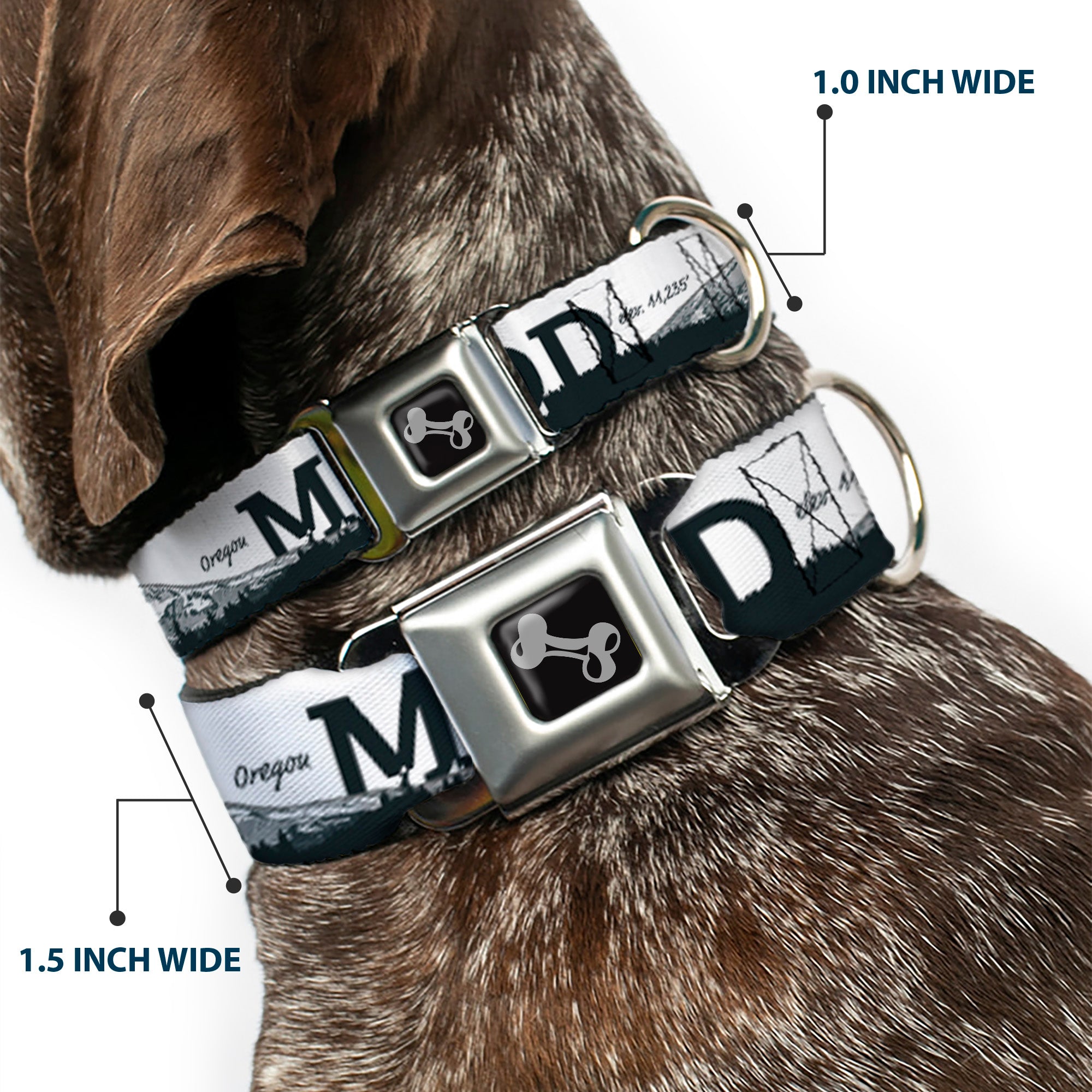 Dog Bone Seatbelt Buckle Collar - Oregon MT. HOOD Scenery White/Grays Seatbelt Buckle Collars Buckle-Down