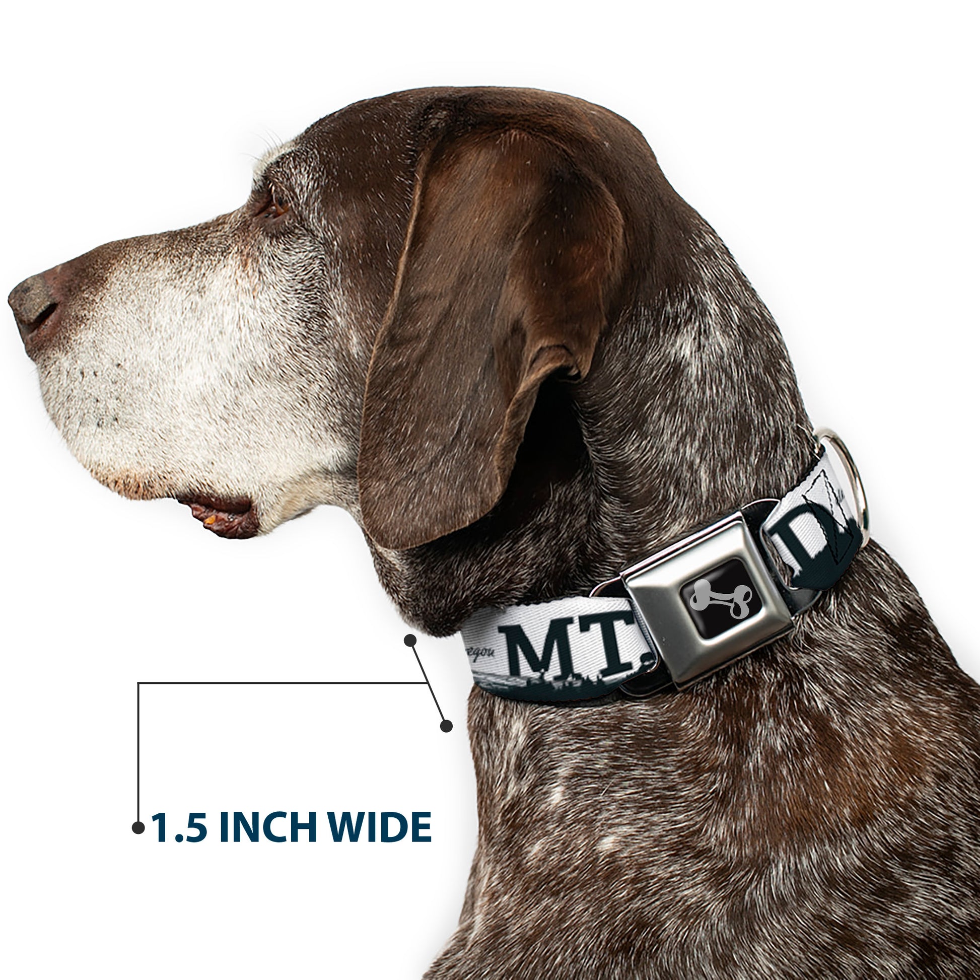 Dog Bone Seatbelt Buckle Collar - Oregon MT. HOOD Scenery White/Grays Seatbelt Buckle Collars Buckle-Down