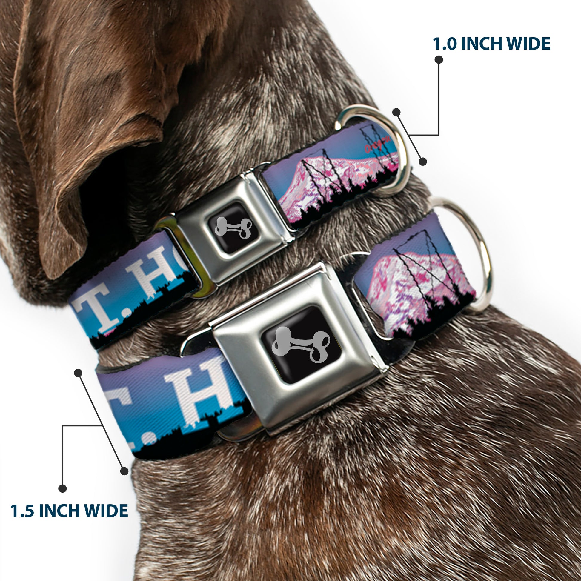 Dog Bone Seatbelt Buckle Collar - Oregon MT. HOOD Scenery Blues/Purples/Black/White Seatbelt Buckle Collars Buckle-Down