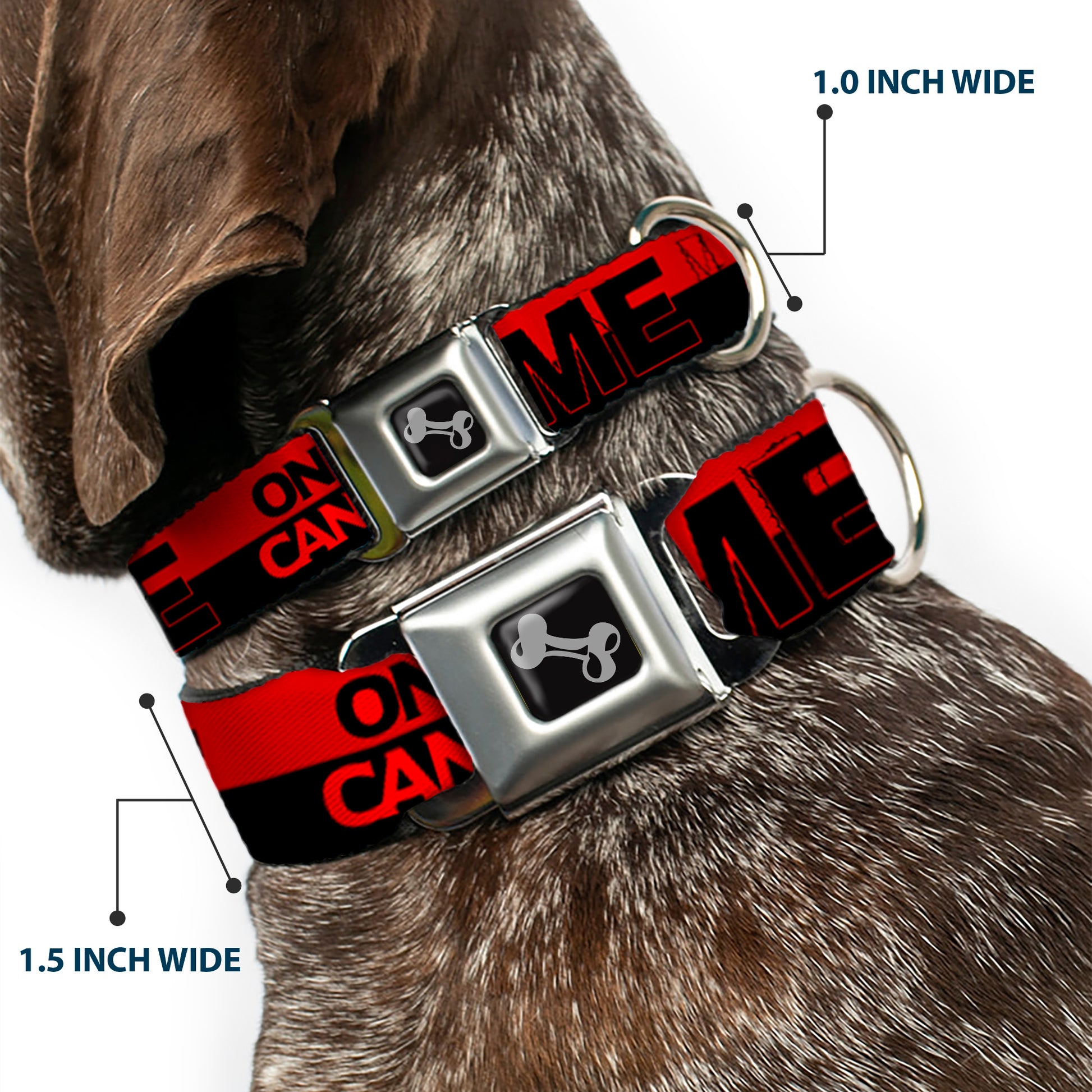 Dog Bone Seatbelt Buckle Collar - ONLY GOD CAN JUDGE ME/Stripe Red/Black/Red Seatbelt Buckle Collars Buckle-Down