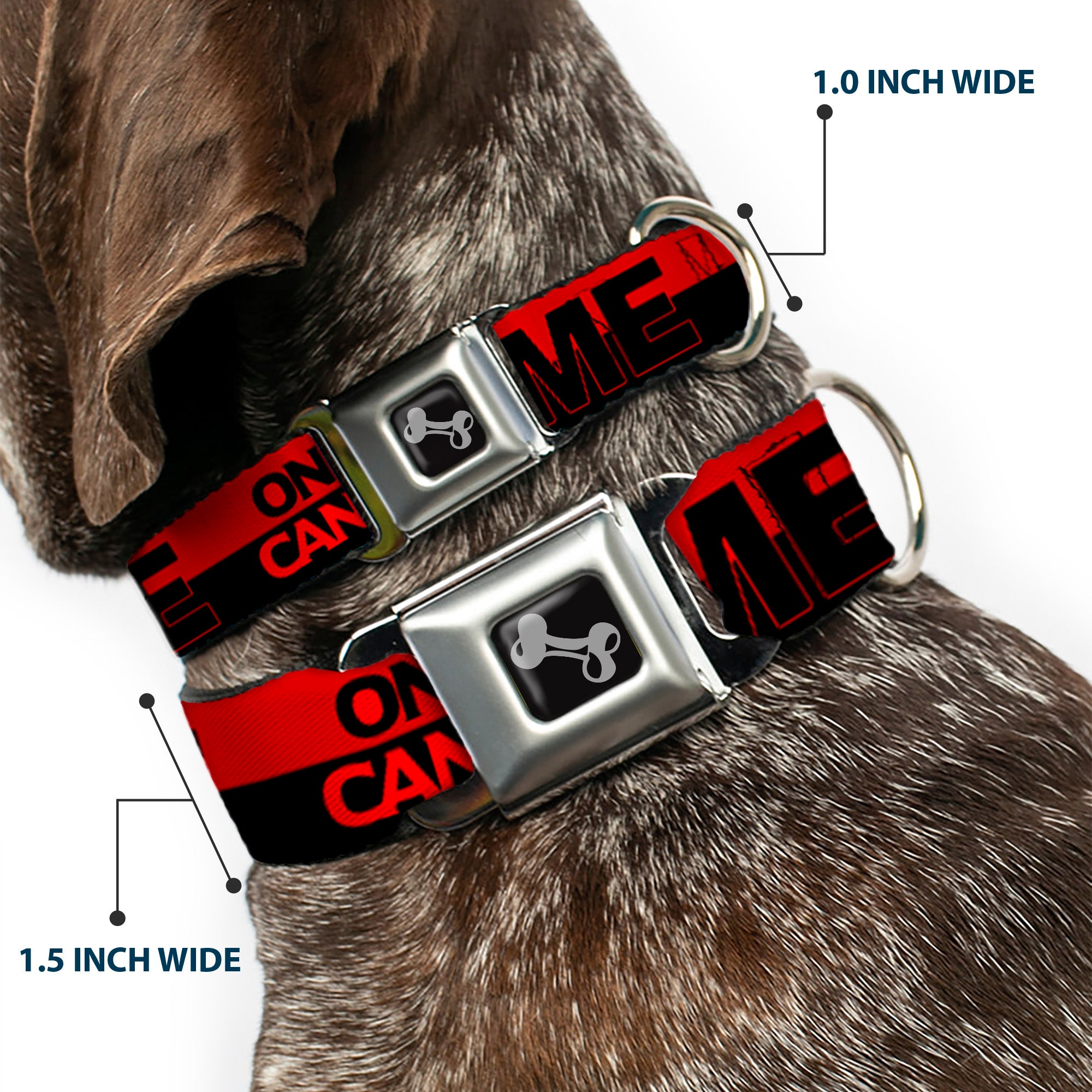 Dog Bone Seatbelt Buckle Collar - ONLY GOD CAN JUDGE ME/Stripe Red/Black/Red Seatbelt Buckle Collars Buckle-Down